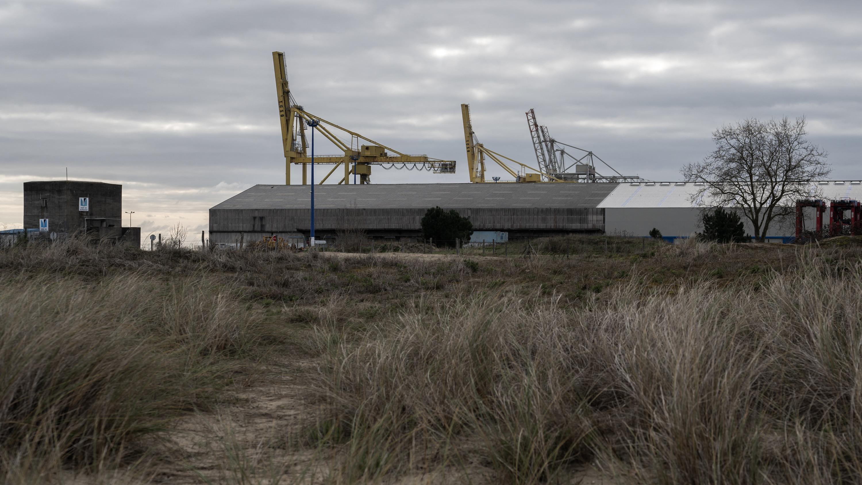 Projet de ferme-usine de saumons en Gironde&nbsp;: l’autorité environnementale relève plusieurs zones d’ombre