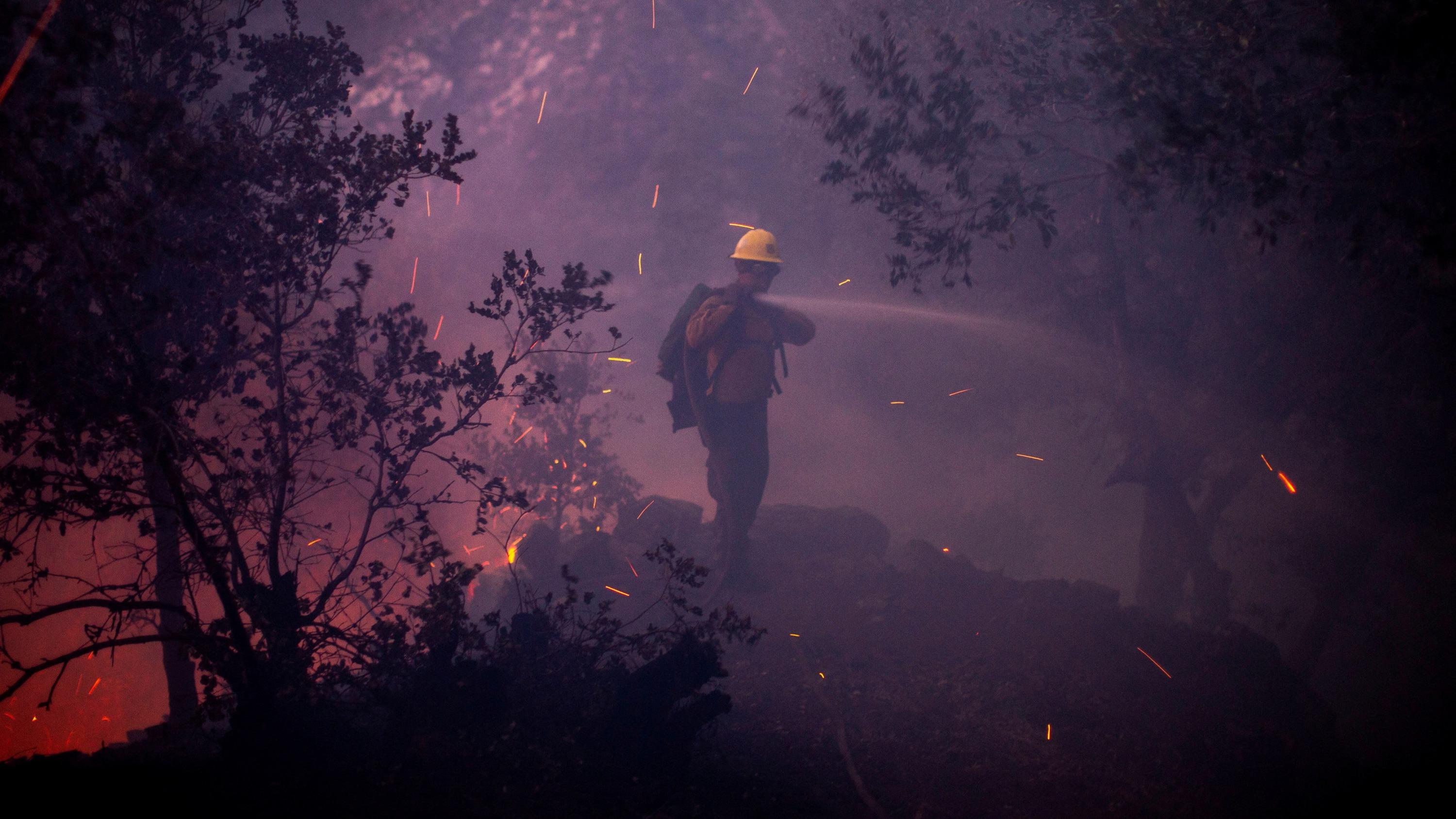 Incendies à Los Angeles : entre flammes et désinformation, la panique submerge la cité des Anges