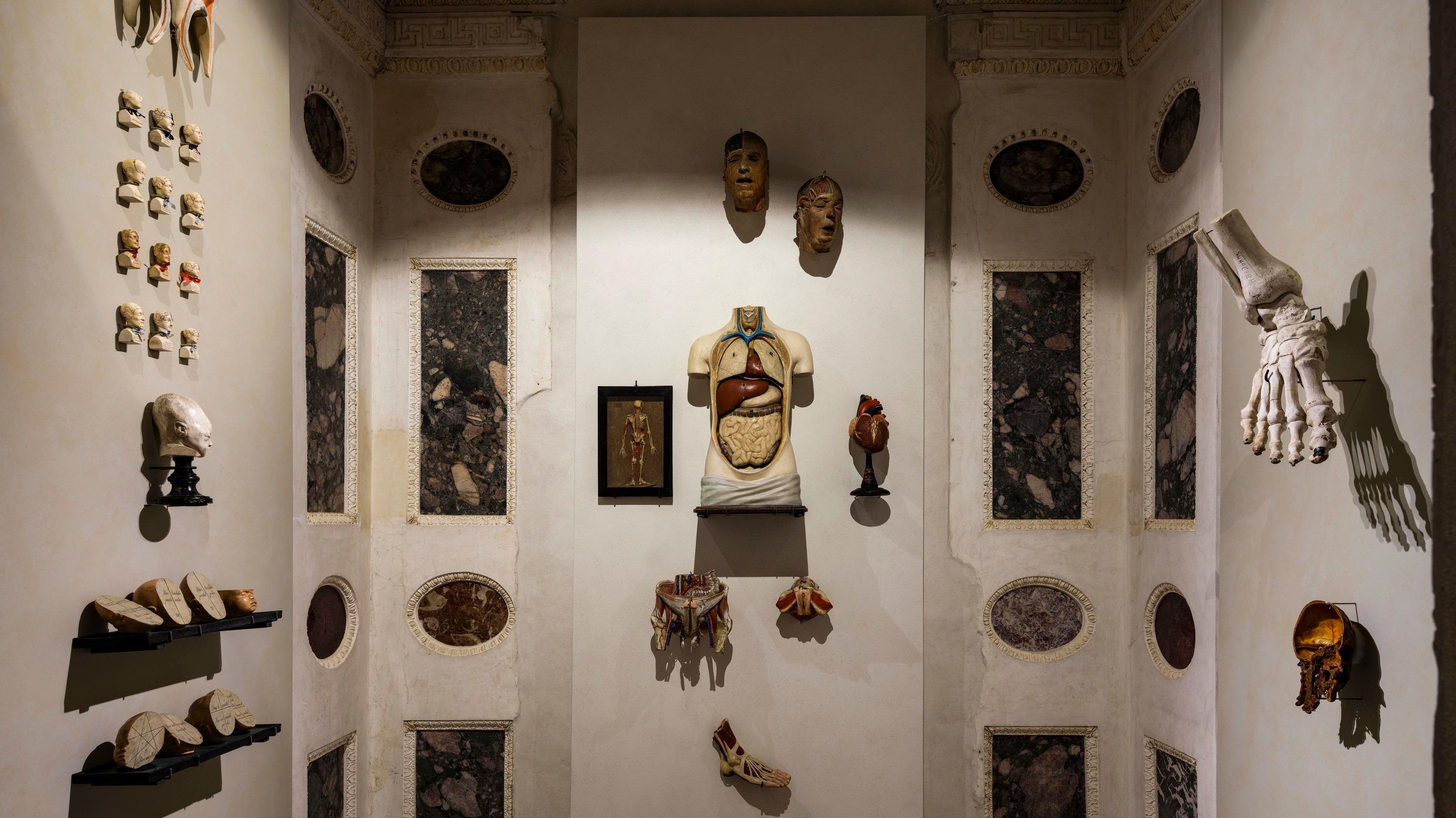 Le Palazzo Grimani de Venise, une ode à l’art de collectionner