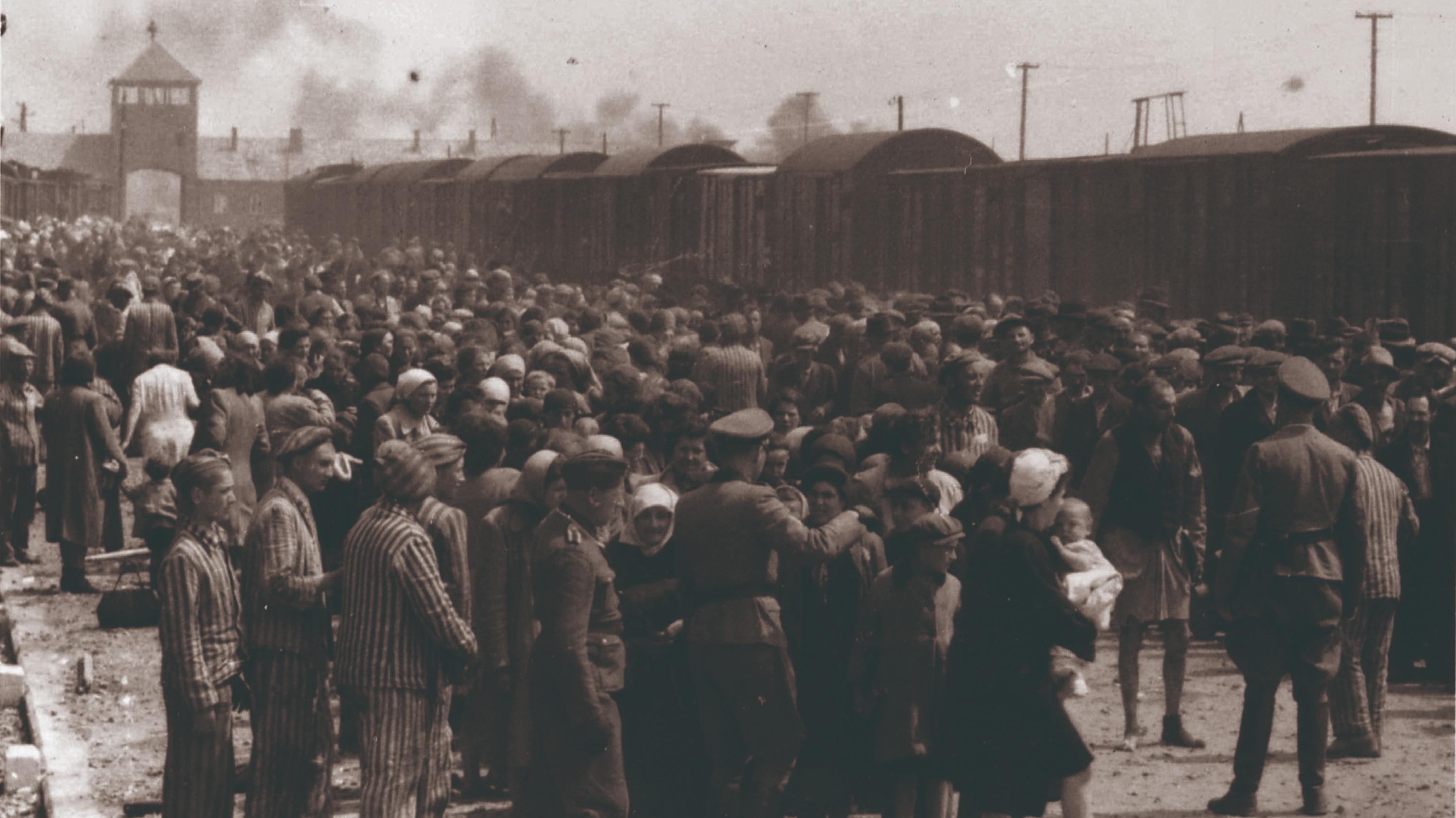 Quand les nazis photographient leurs victimes : les documents inédits des SS exposés au Mémorial de la Shoah