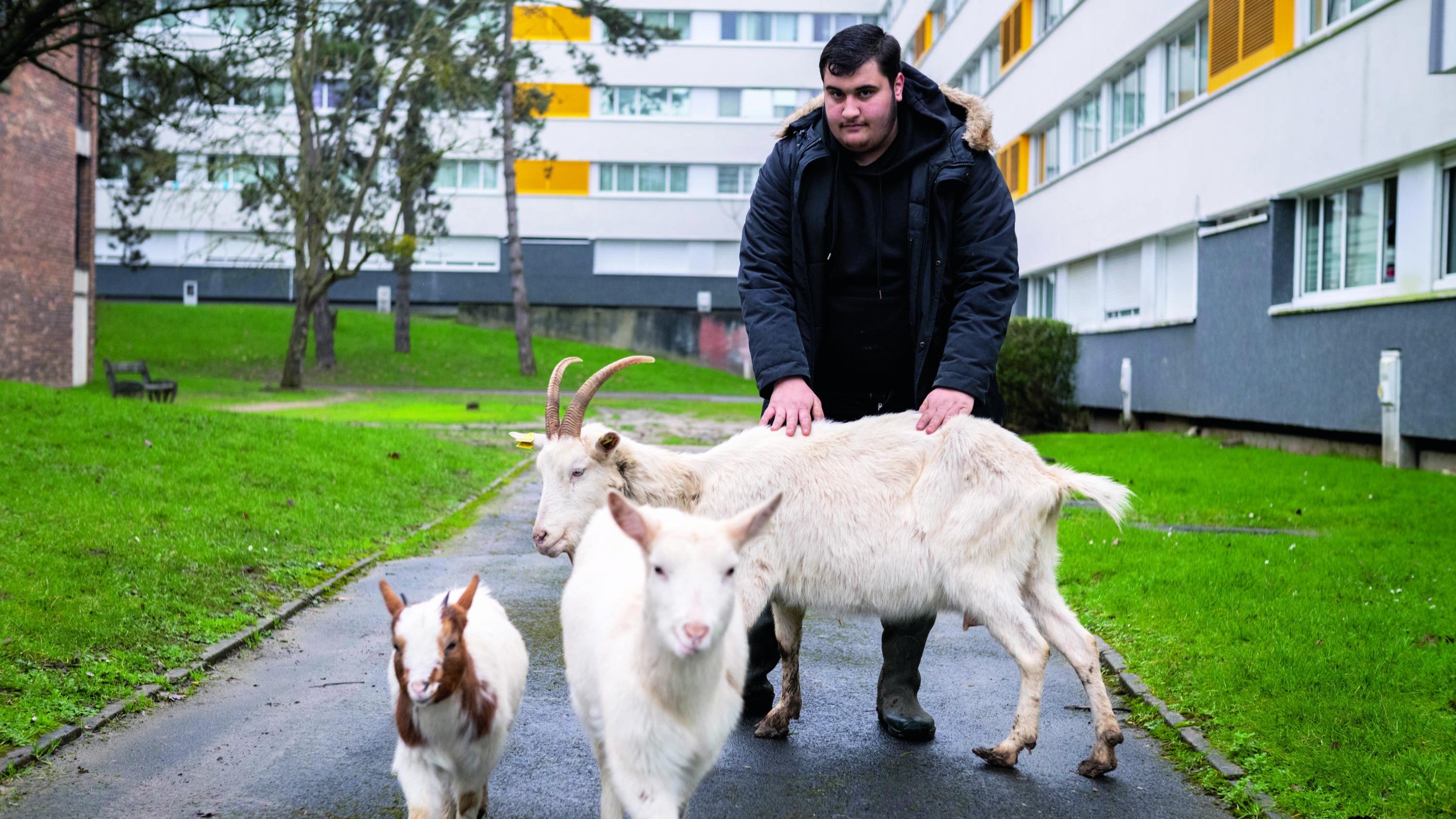 Au cœur de Villiers-le-Bel, Emre Aydemir, le fermier des cités