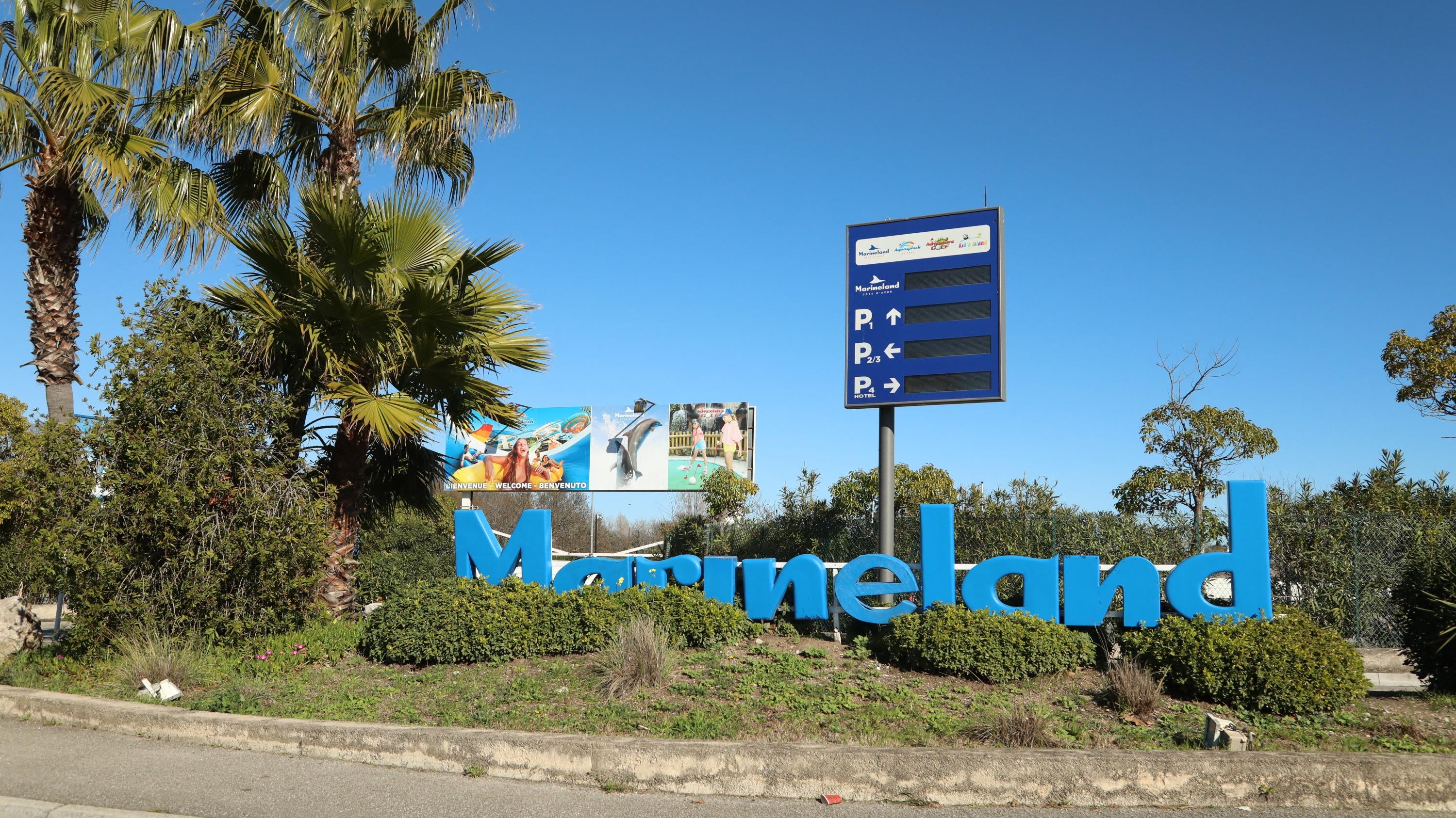 «Urgent que vous preniez vos responsabilités» : Marineland presse le gouvernement sur le sort réservé aux orques et aux dauphins