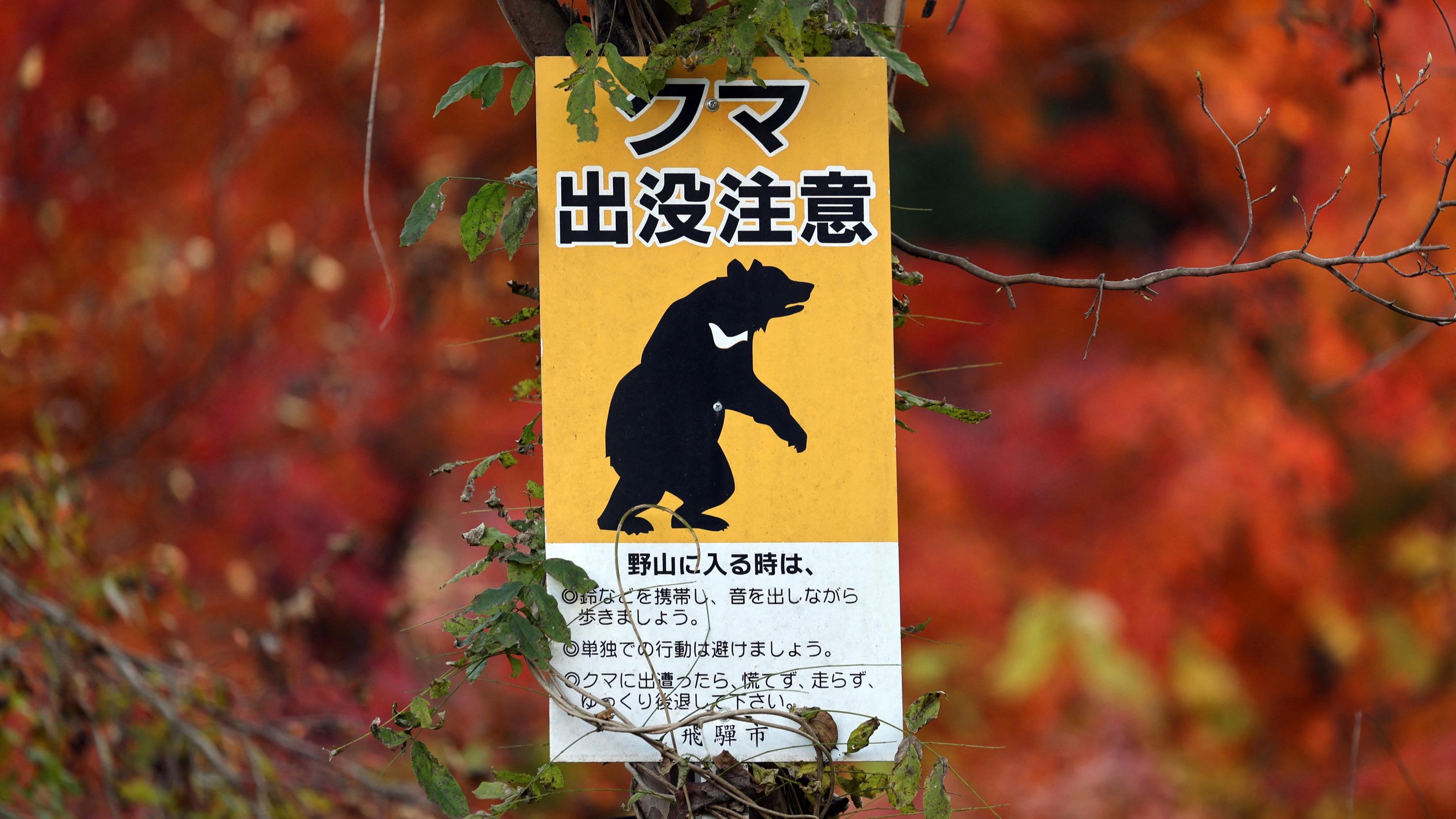 Japon : une ville retire une alerte à l’ours car la photo avait été générée par IA