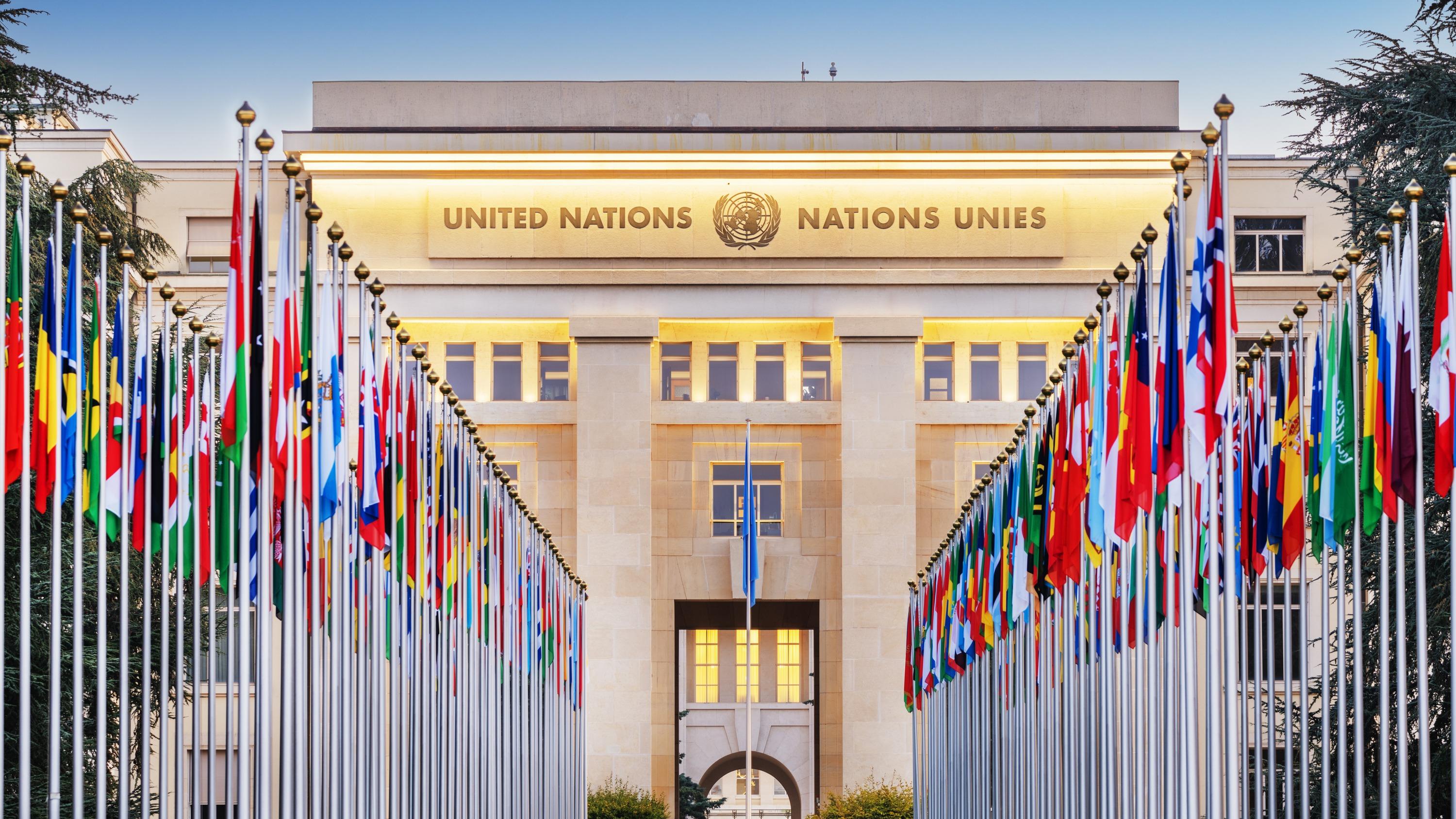 The Epstein Case, a 'Crime Against Humanity'? The Surprising Idea from UN Experts