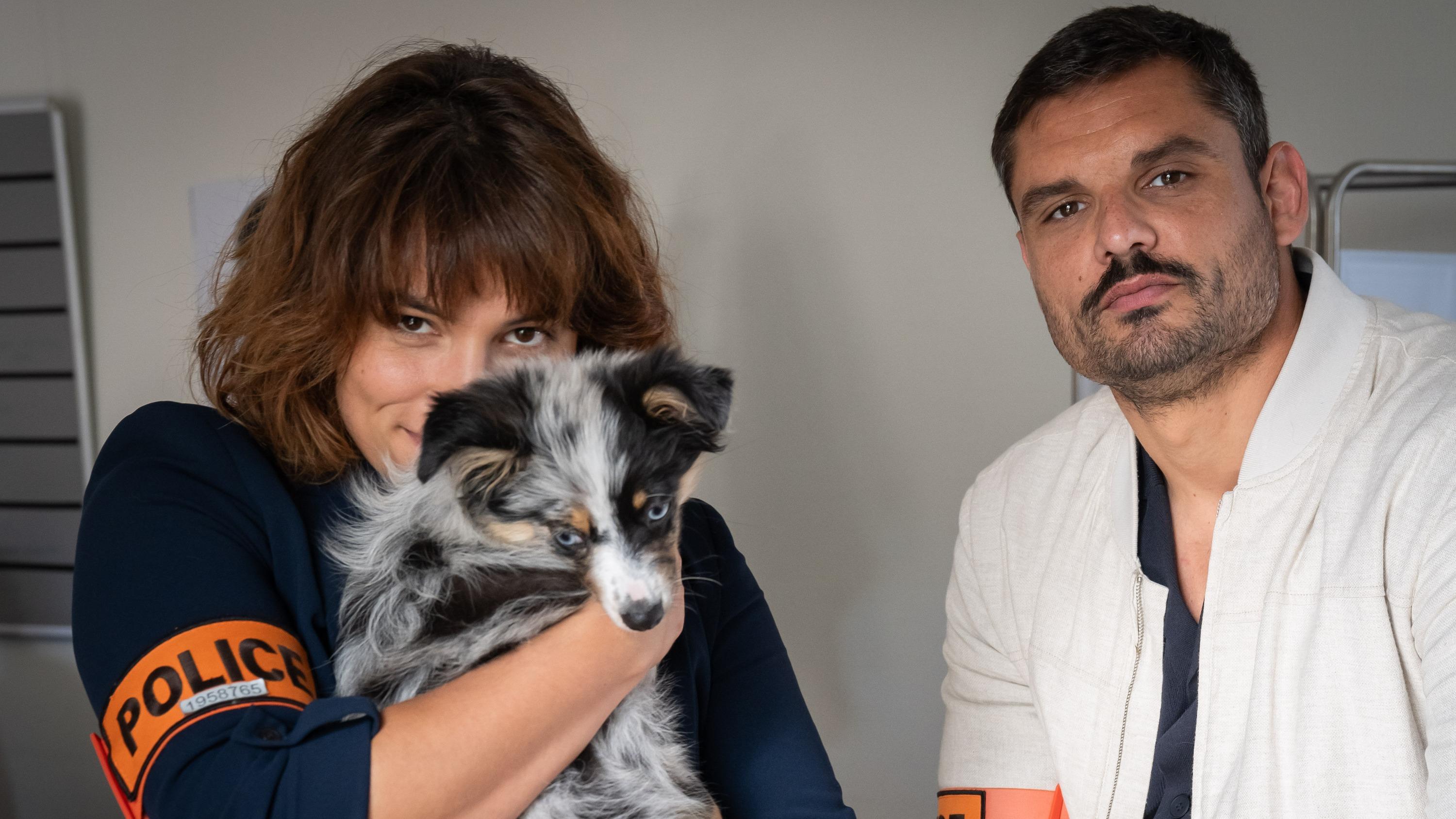 Audiences : début performant de Florent Manaudou dans A priori sur France 3 — Info & Société