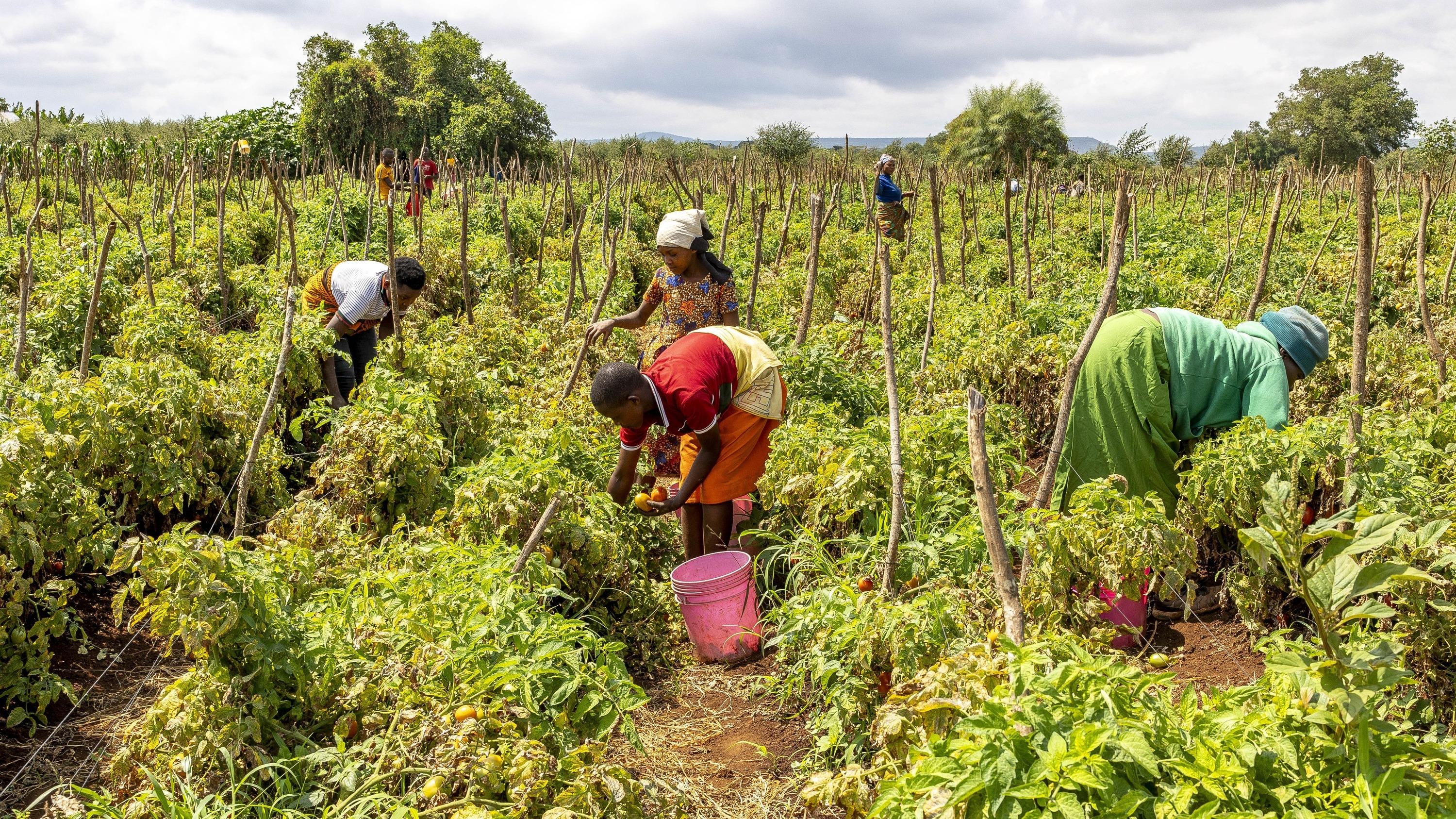 « La France sert l’intérêt des Français lorsqu’elle investit dans le développement » : au G7, Paris défend une logique de partenariats en Afrique