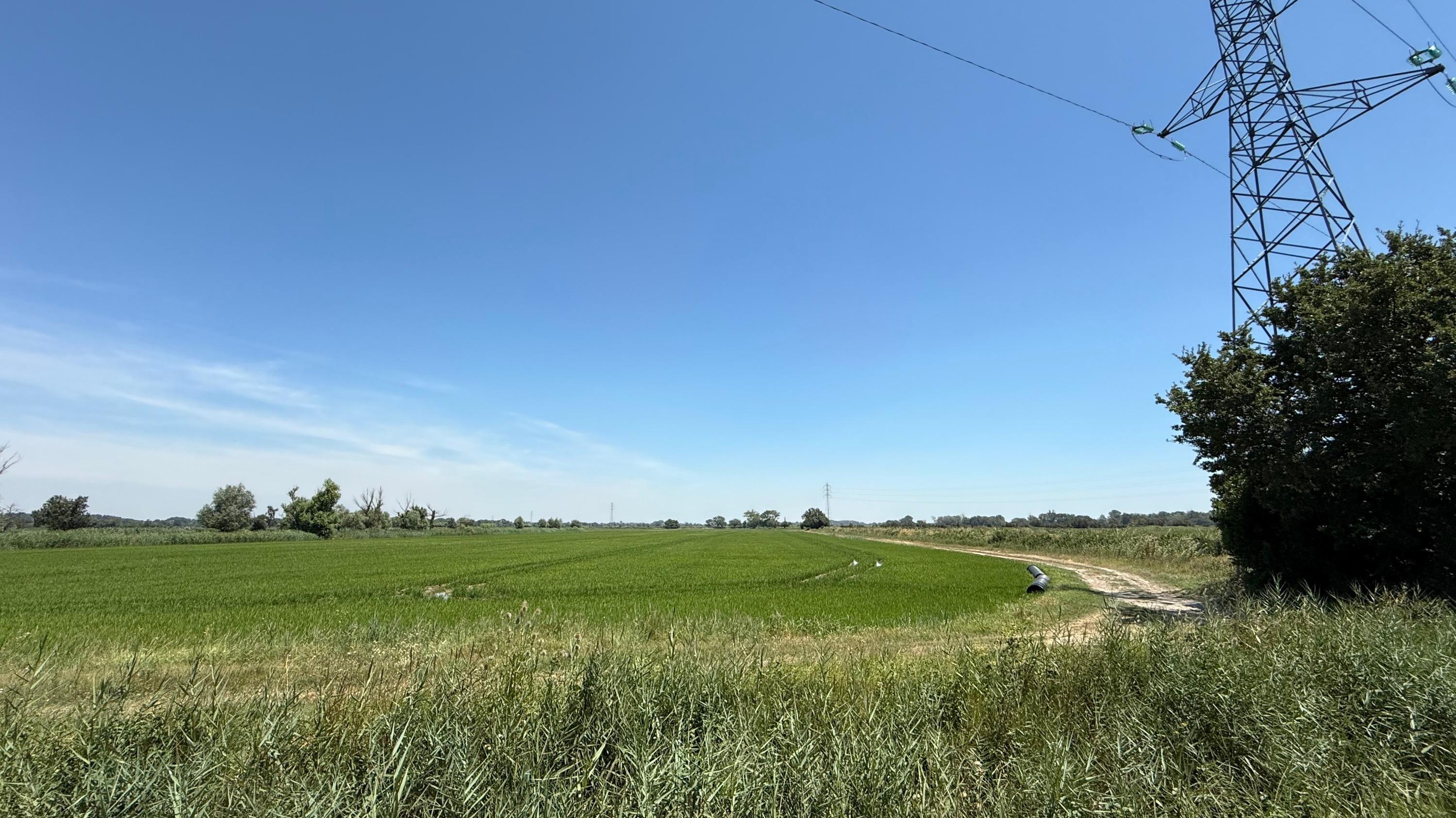 Ligne polémique en Camargue : RTE promet des aménagements