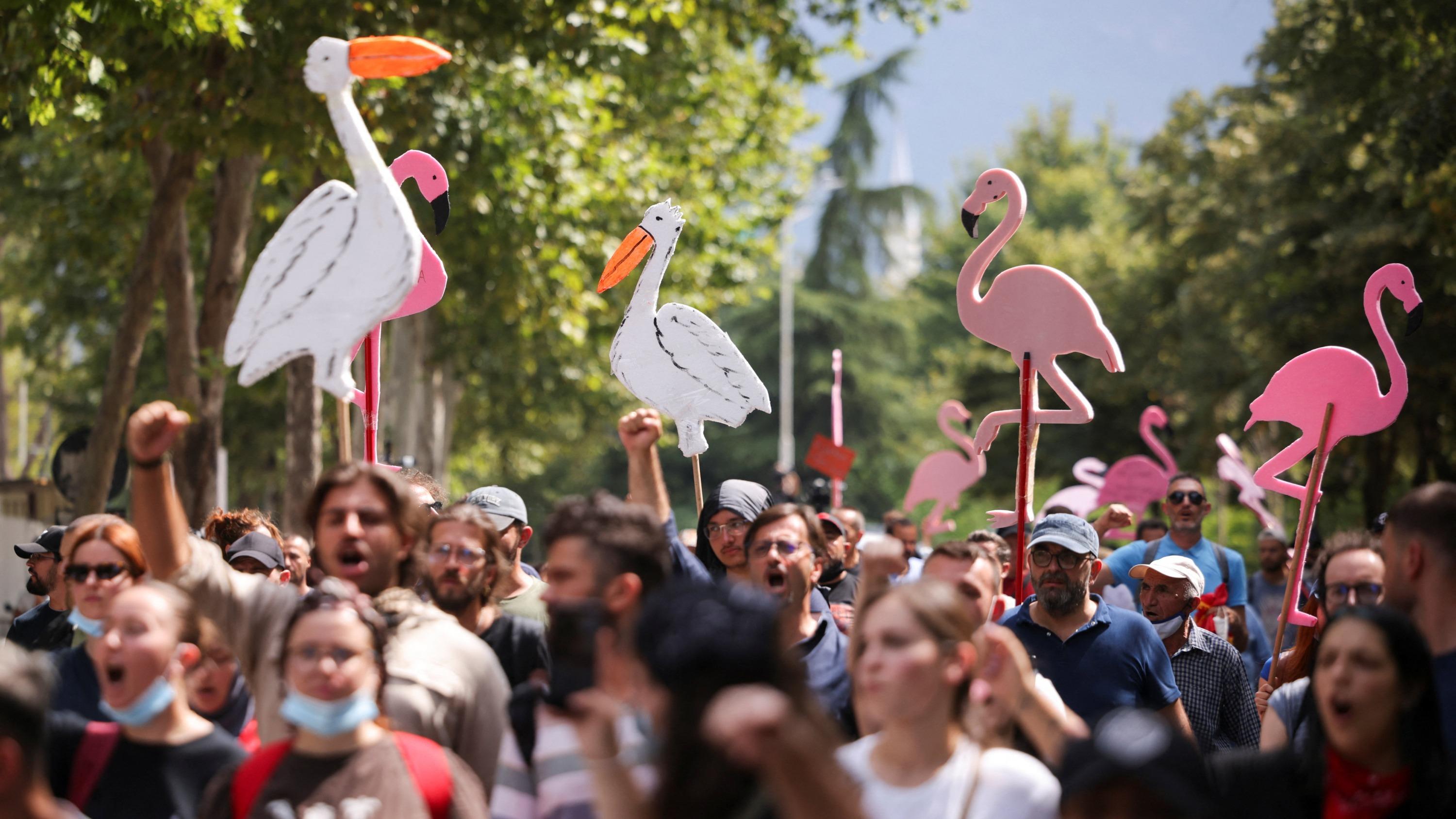 En Albanie, cette « révolution des flamants roses » contre le pouvoir et la famille Donald Trump