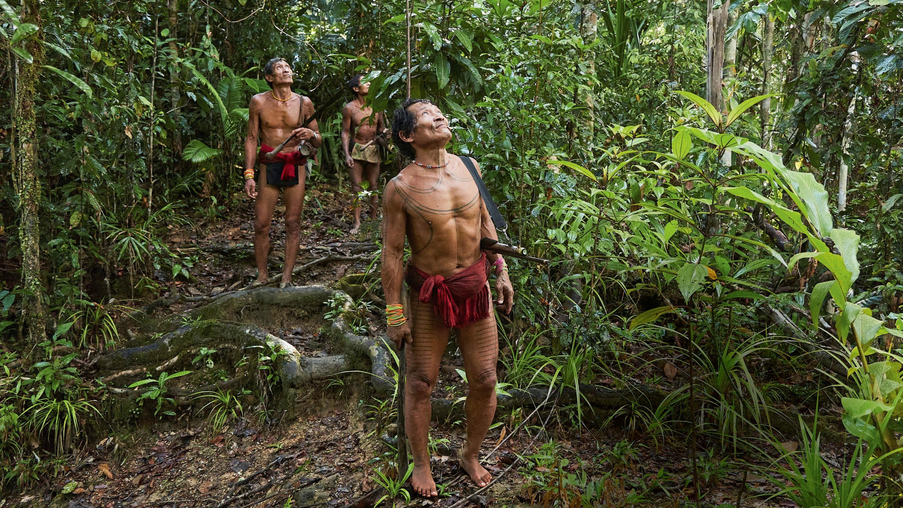 Dans l’archipel des Mentawaï, la sagesse des Sakuddeïs survit à l’ombre des forêts d’Indonésie