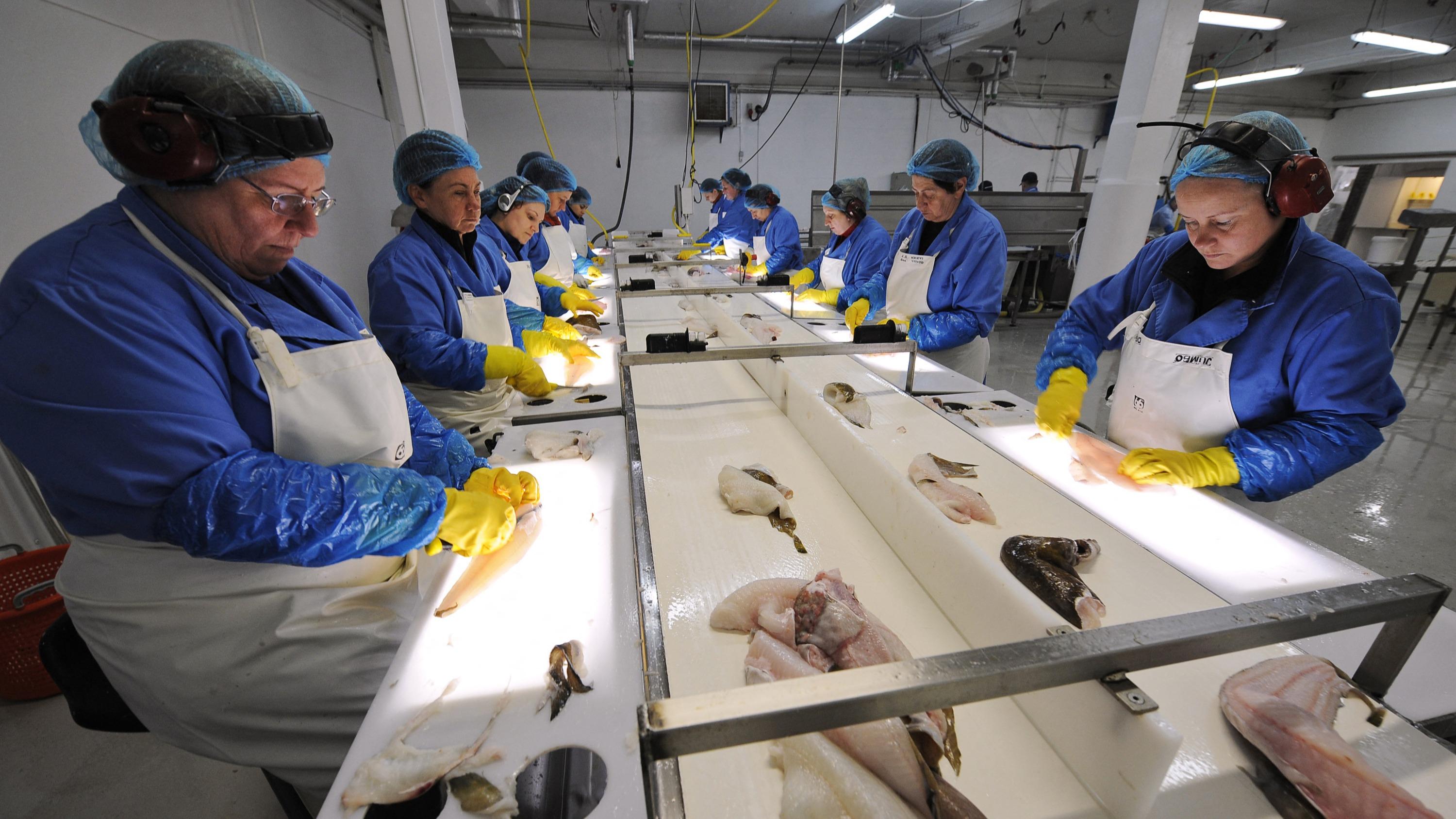 En Islande, la pêche est la « ligne rouge » pour les opposants à l’éventuelle adhésion à l’Union européenne