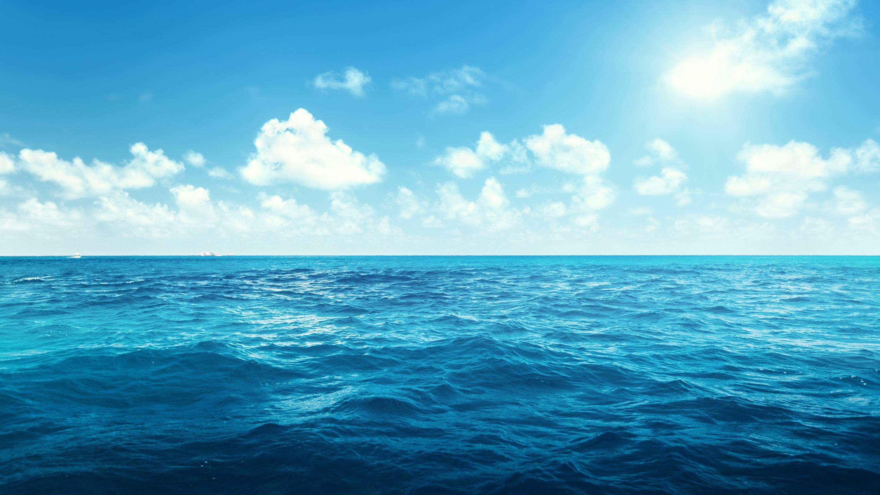 Dans le monde, moins de 2 % de la surface des océans serait vraiment protégée