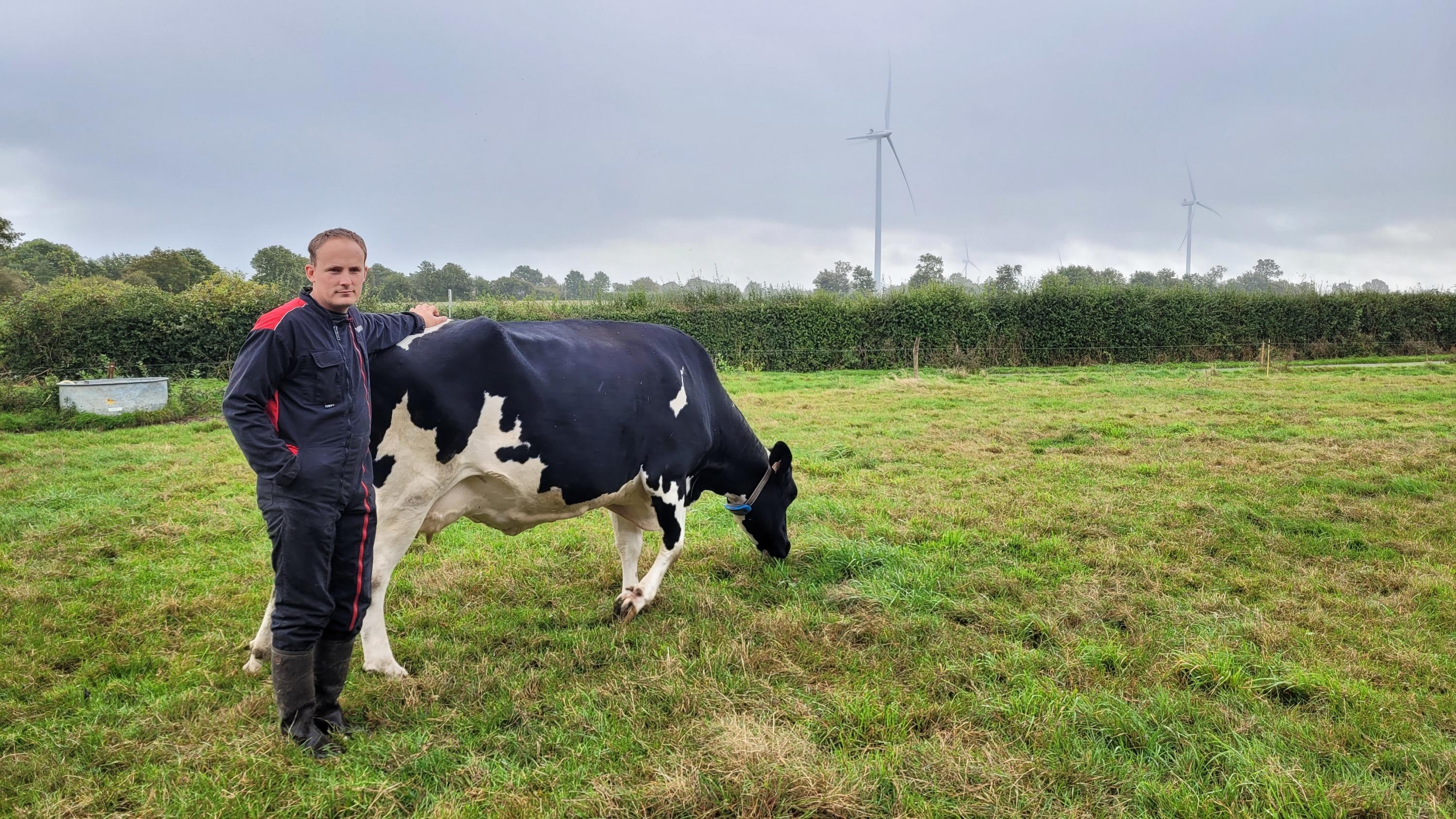 En Loire-Atlantique, un éleveur met en cause les éoliennes après le décès de six de ses vaches