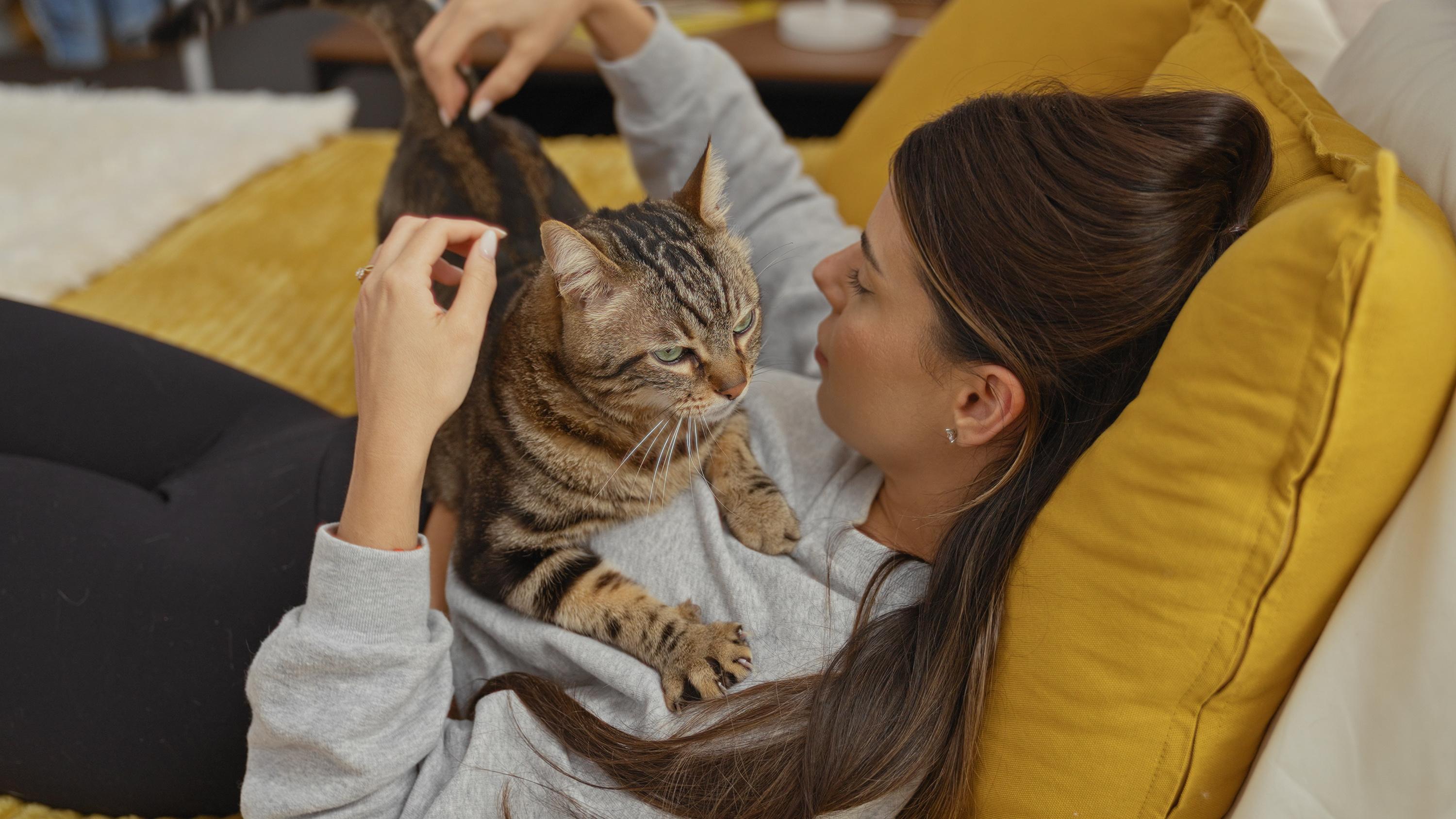 Je suis vétérinaire et voici les 7 choses que je ne ferai jamais avec un chat