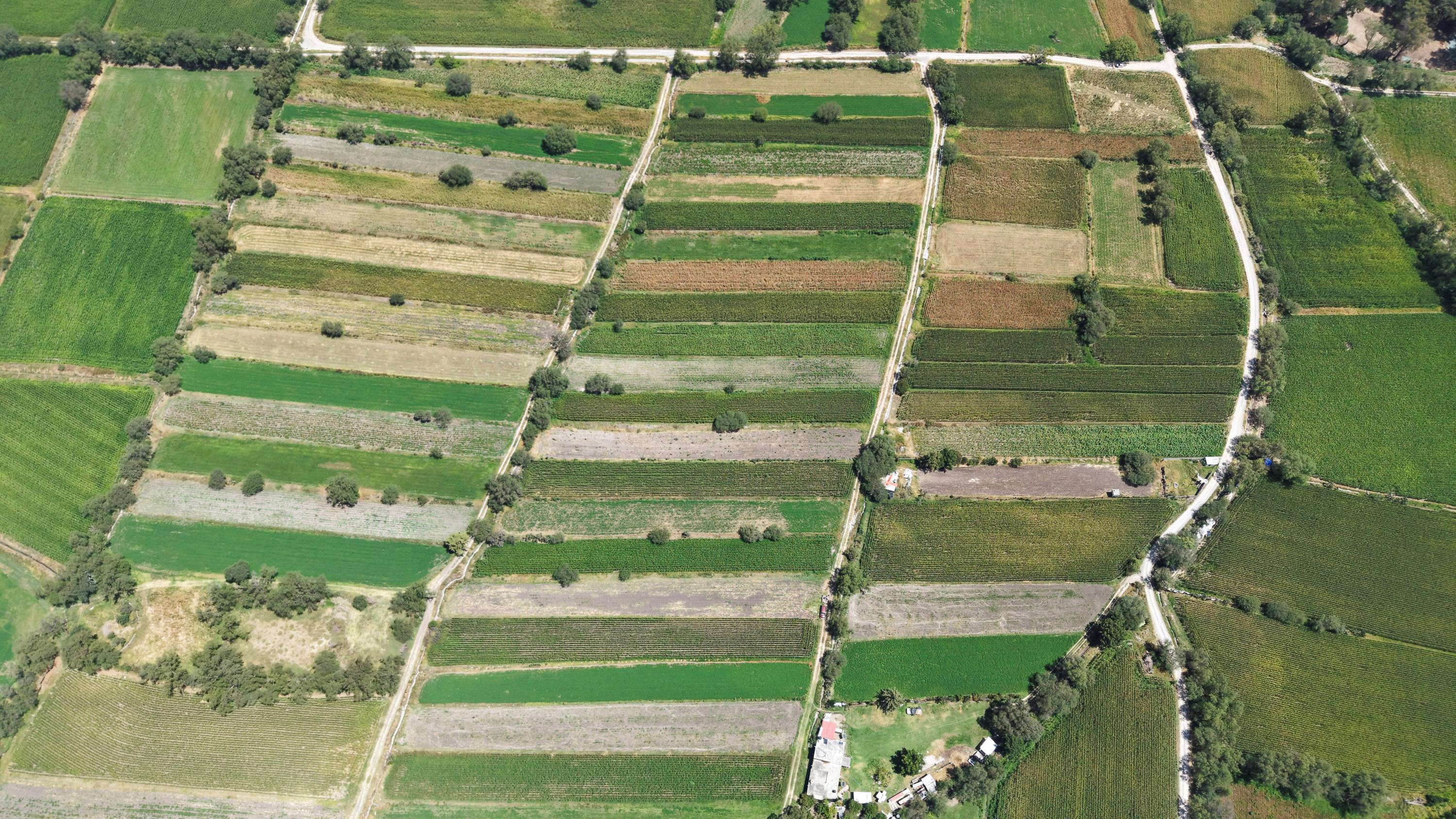 Pesticides, gestion de l’eau... La loi d'urgence agricole publiée au Journal officiel