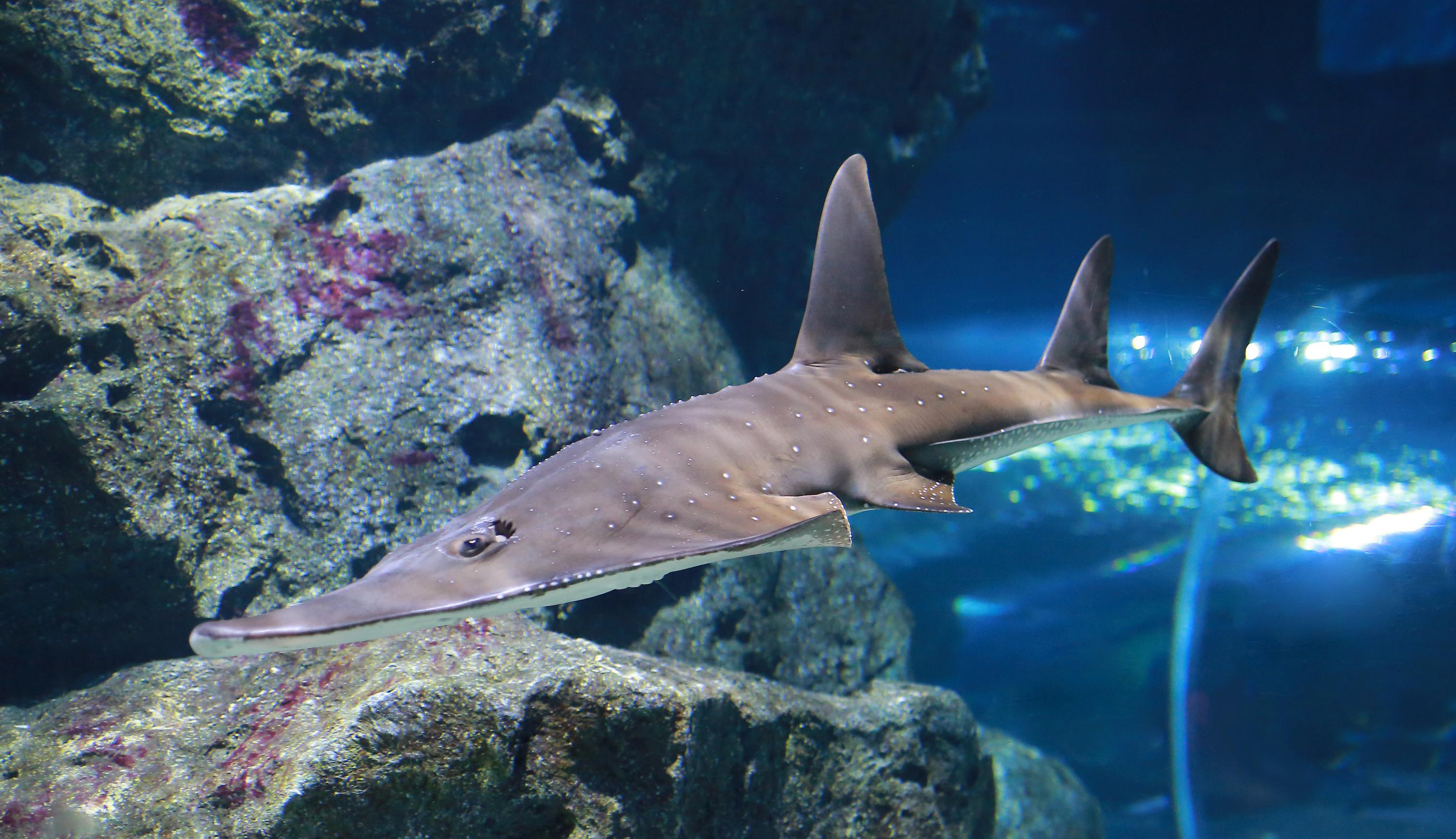 Sorry! Image not available at this time