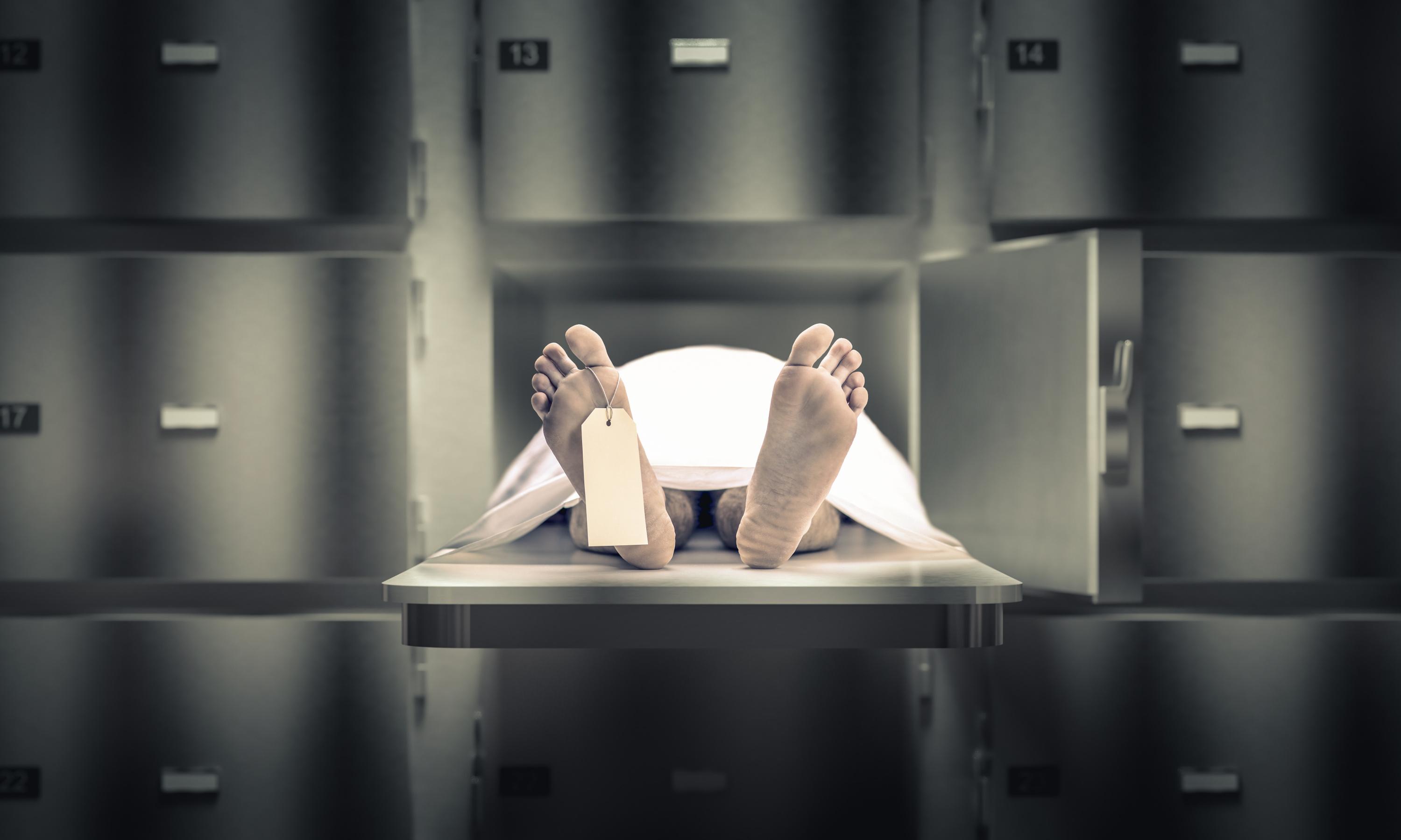 États-Unis : un ancien directeur de la morgue d’Harvard plaide coupable de trafic de restes humains