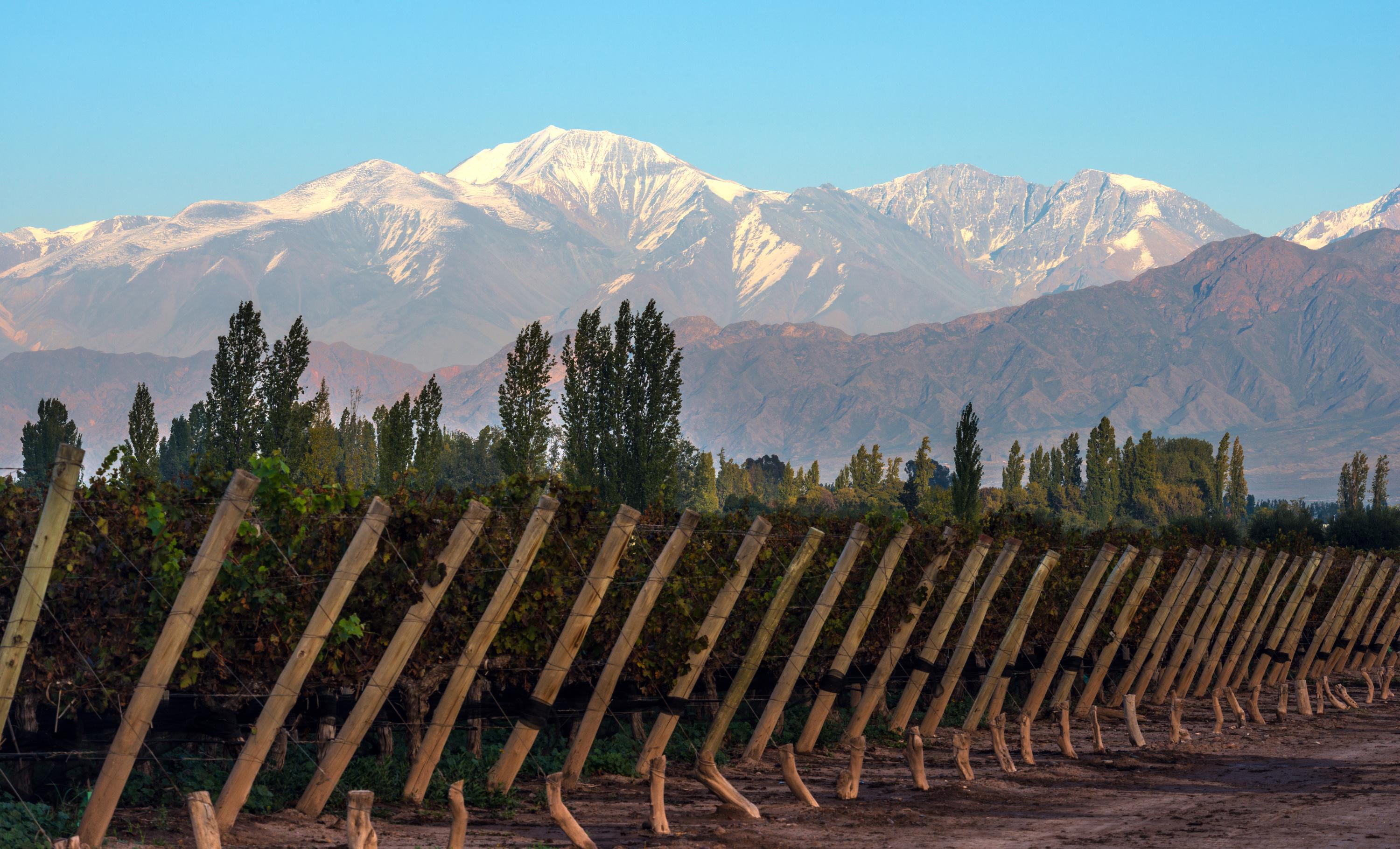 Vins : le Chili et l’Argentine se déchirent sur la marque Patagonie