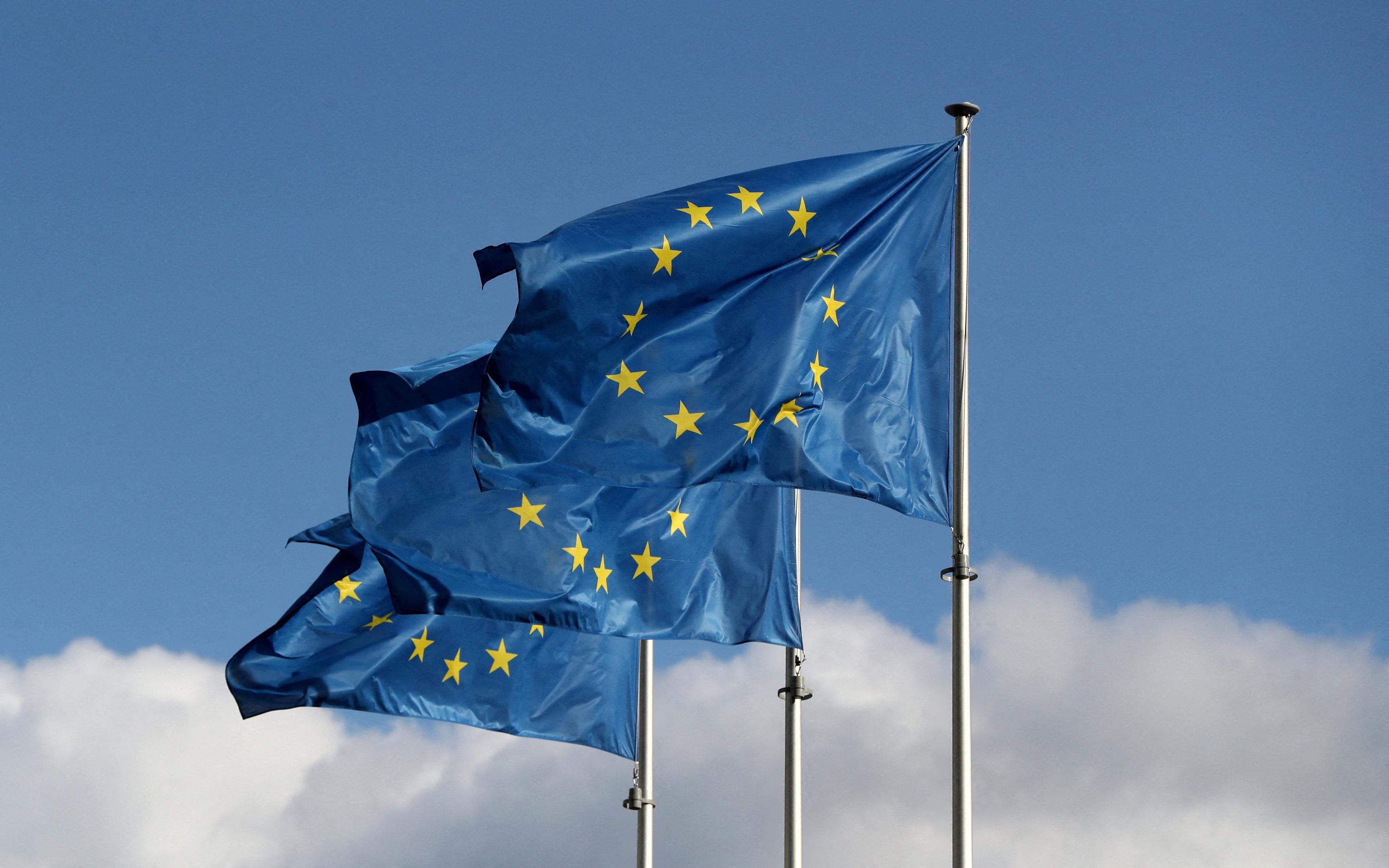 Bien-être animal : l'UE promet des lois sur la volaille et le porc