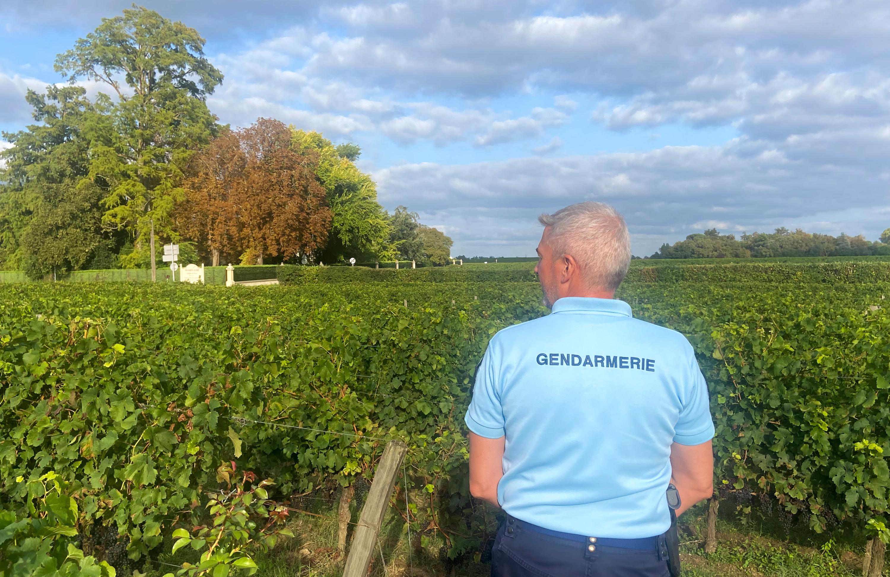 Prévention, patrouilles, formations... À Libourne, les vignobles mieux sécurisés grâce au «plan 20» de la gendarmerie