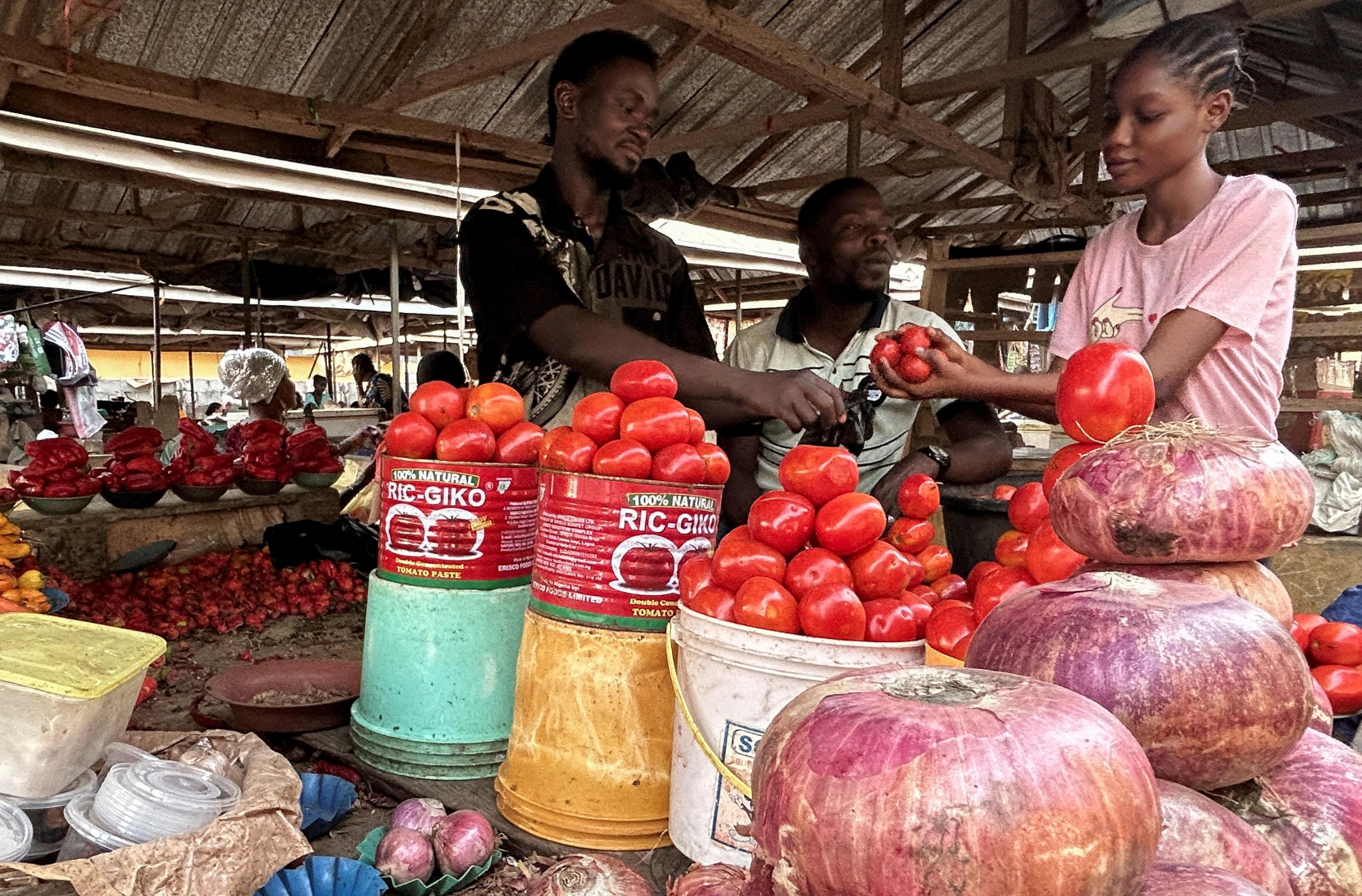 Nigeria: plus de 40 agriculteurs tués par des djihadistes de Boko Haram