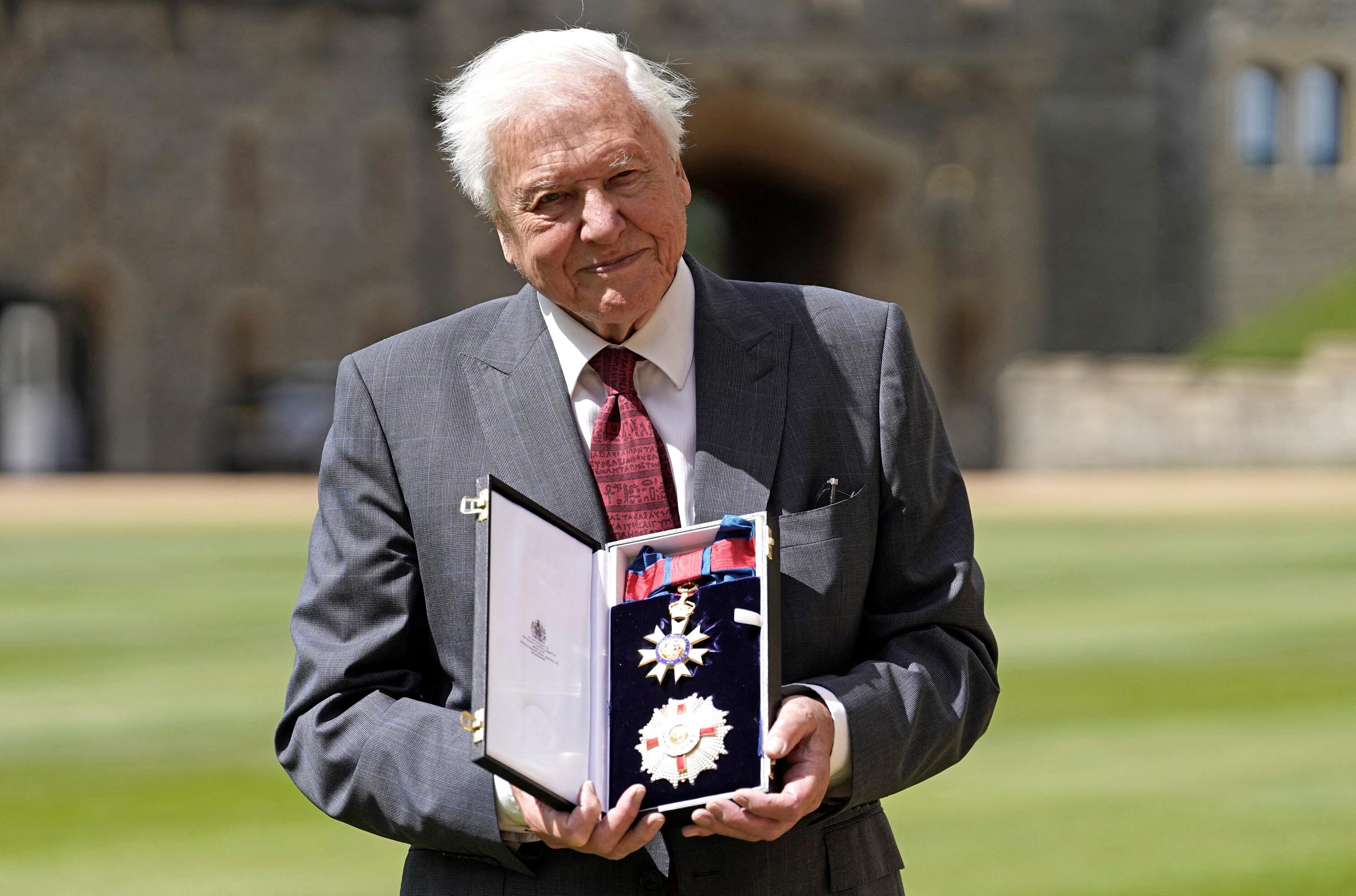 David Attenborough, icône des documentaires animaliers, fête ses 100 ans
