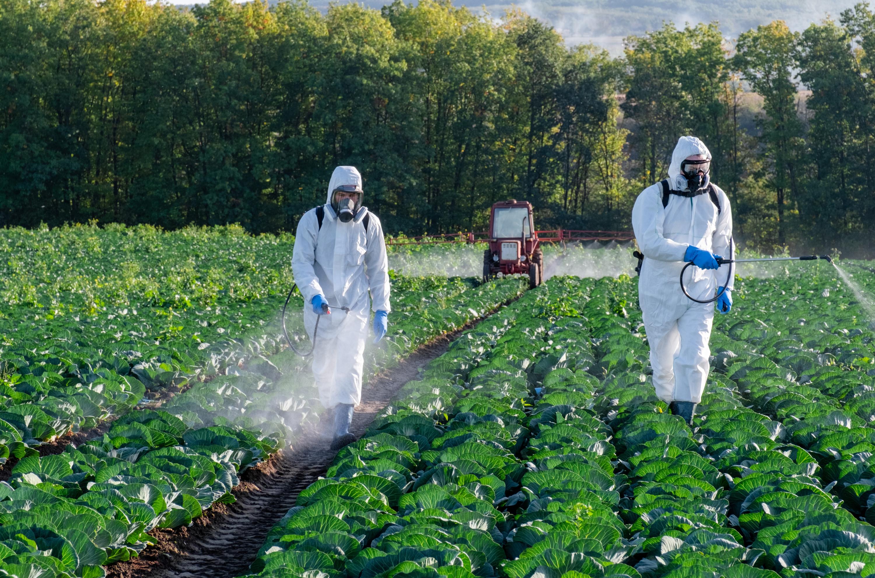 Pesticides: une fleuriste réclame la reconnaissance du préjudice de sa fille, morte à 11 ans