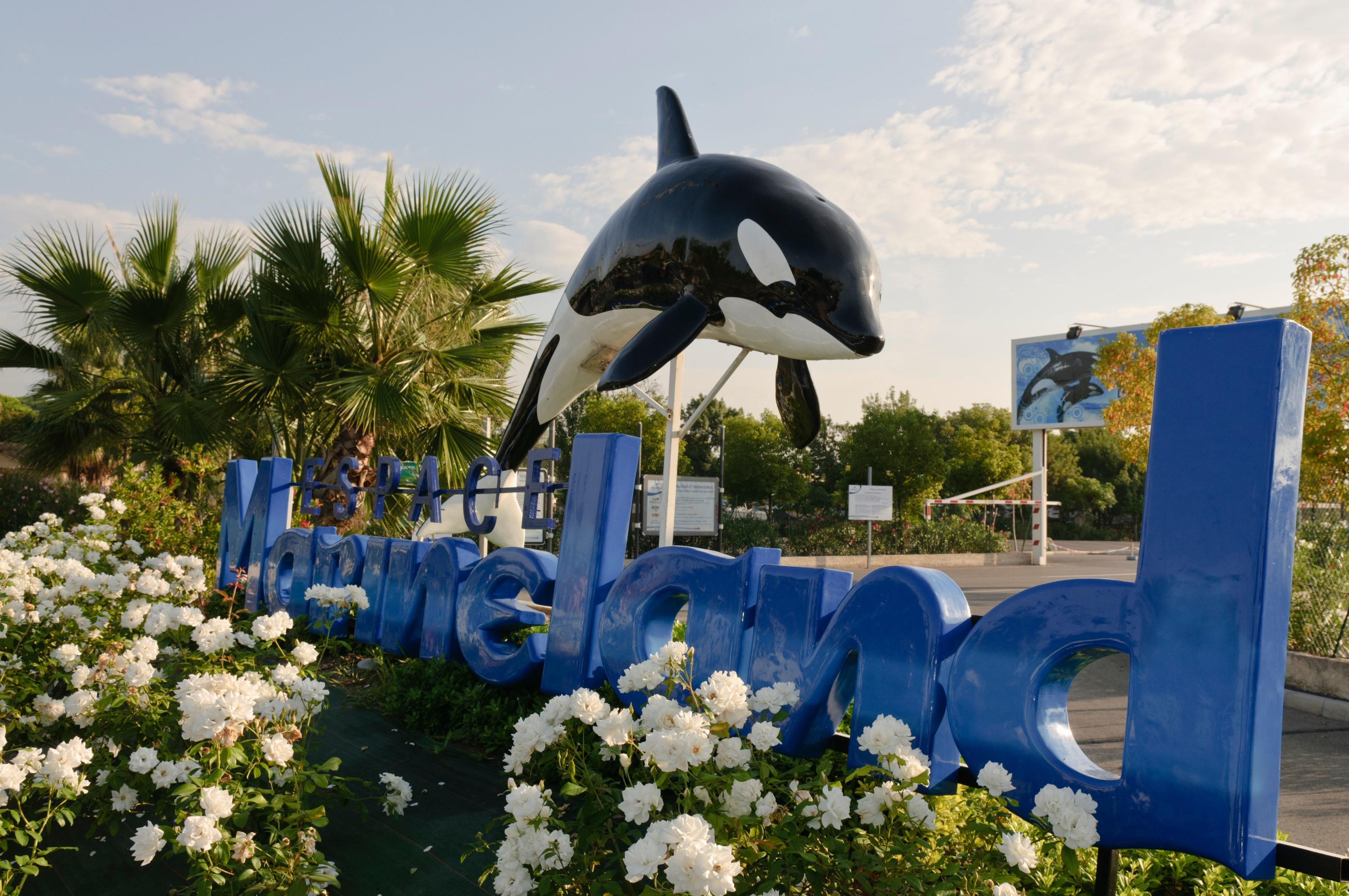 Fermeture du Marineland d’Antibes : «Nous n’avions pas d’autres solutions»