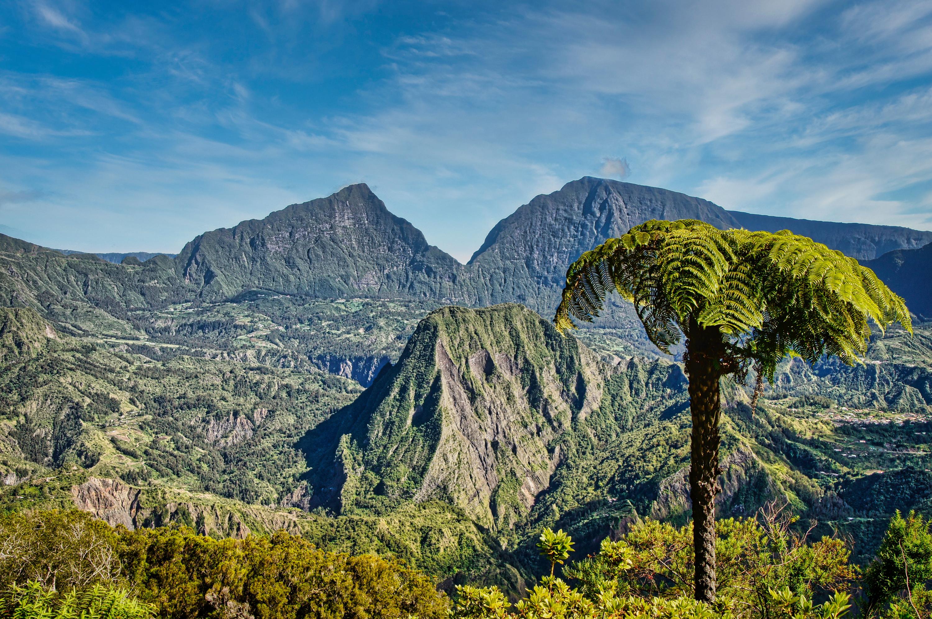 Démantèlement d'un trafic de déchets dangereux entre La Réunion et l'Inde