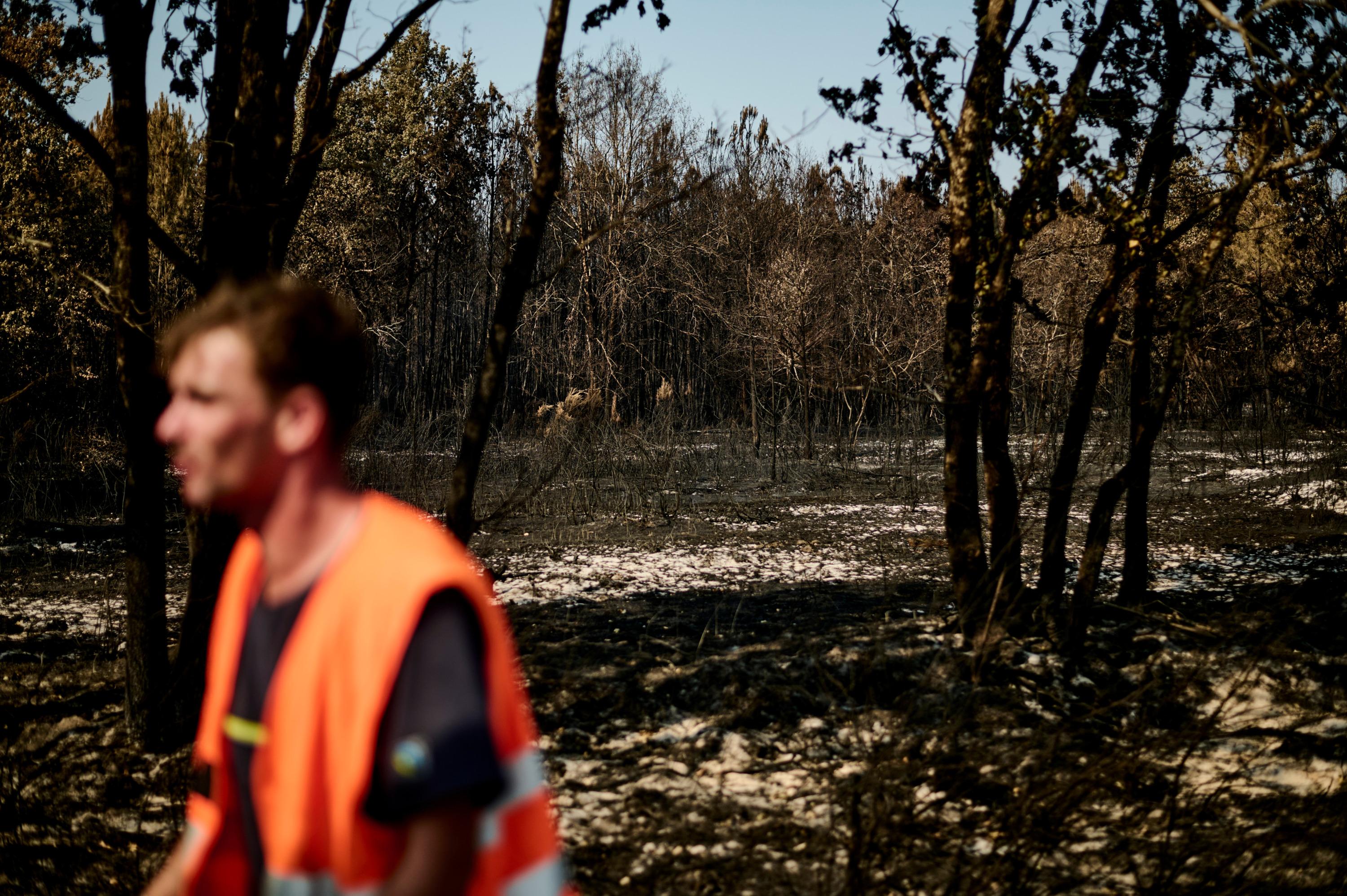 « Une bombe à retardement » : après le mégafeu en Gironde, les sylviculteurs redoutent une nouvelle catastrophe
