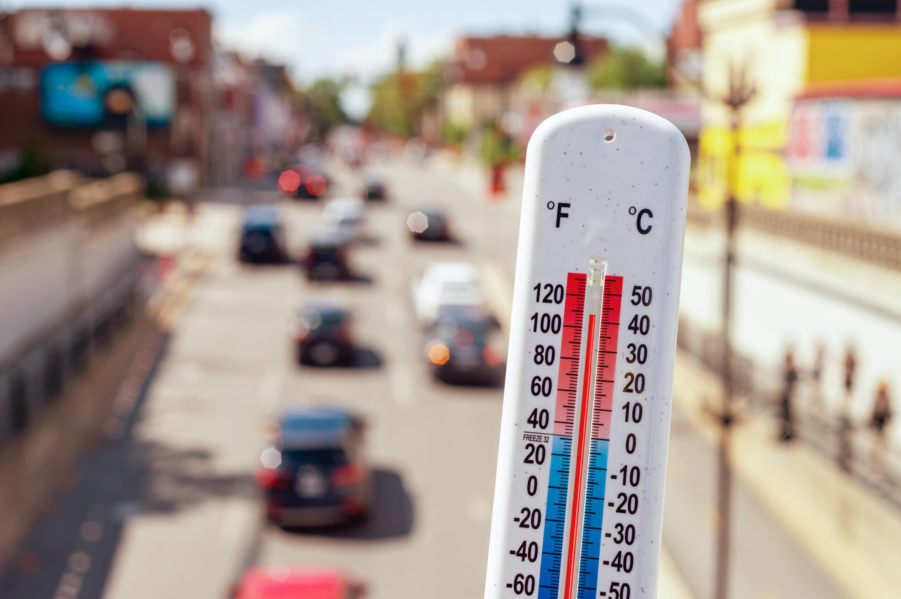 Portugal : le mois de novembre a été le plus chaud jamais enregistré