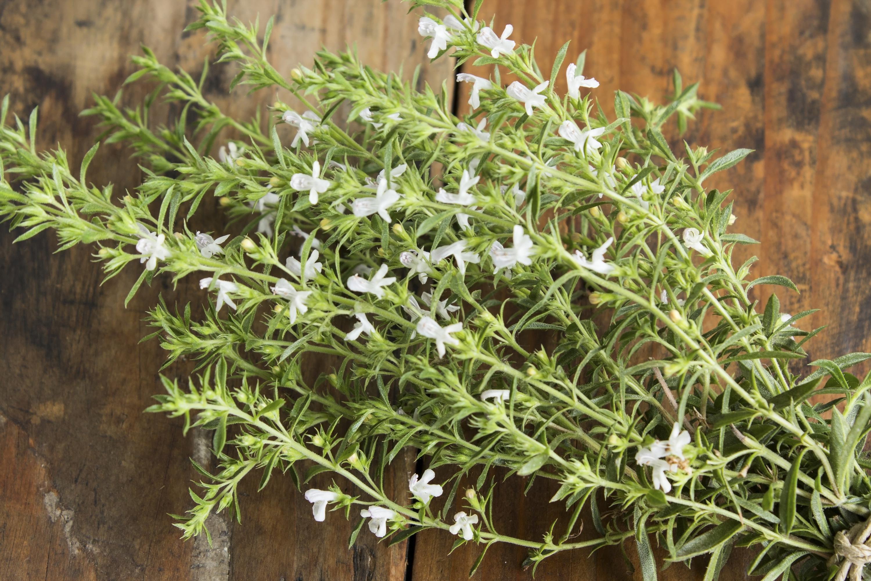 Ces Plantes Qui Aident A La Digestion