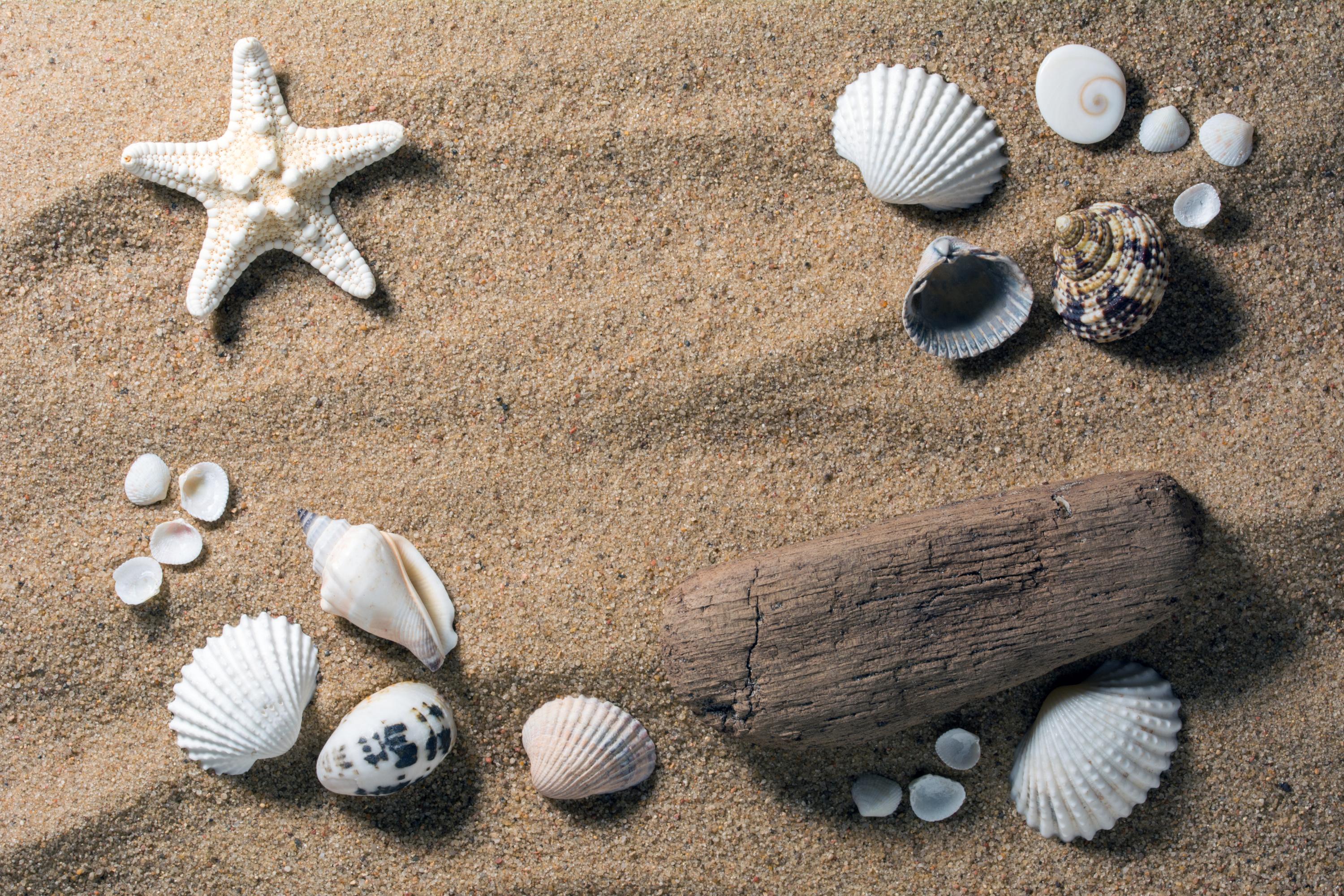 Galets Sable Coquillages Quel Souvenir A T On Reellement Le Droit De Rapporter De La Plage