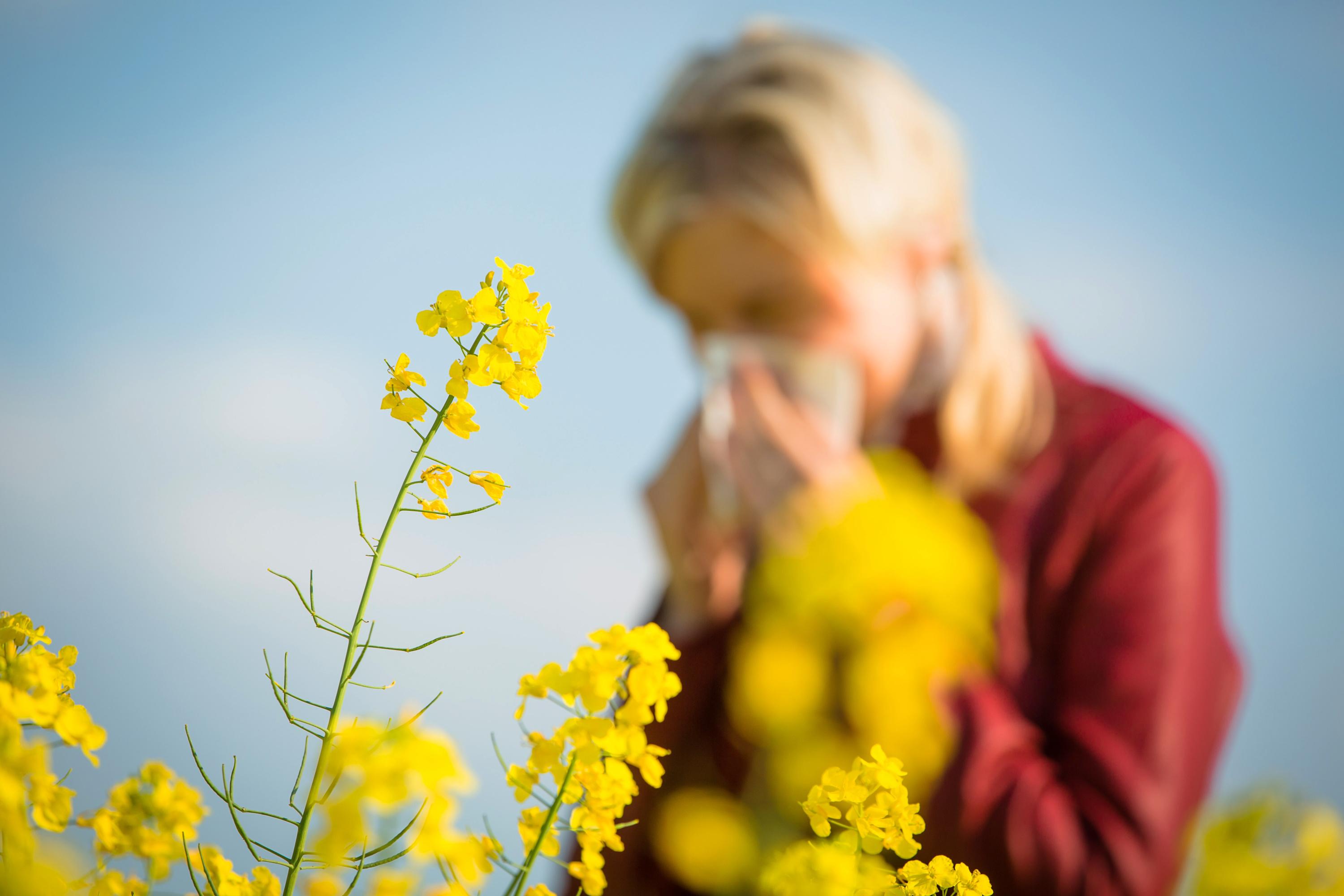 pollen-allergies-are-more-severe-this-year