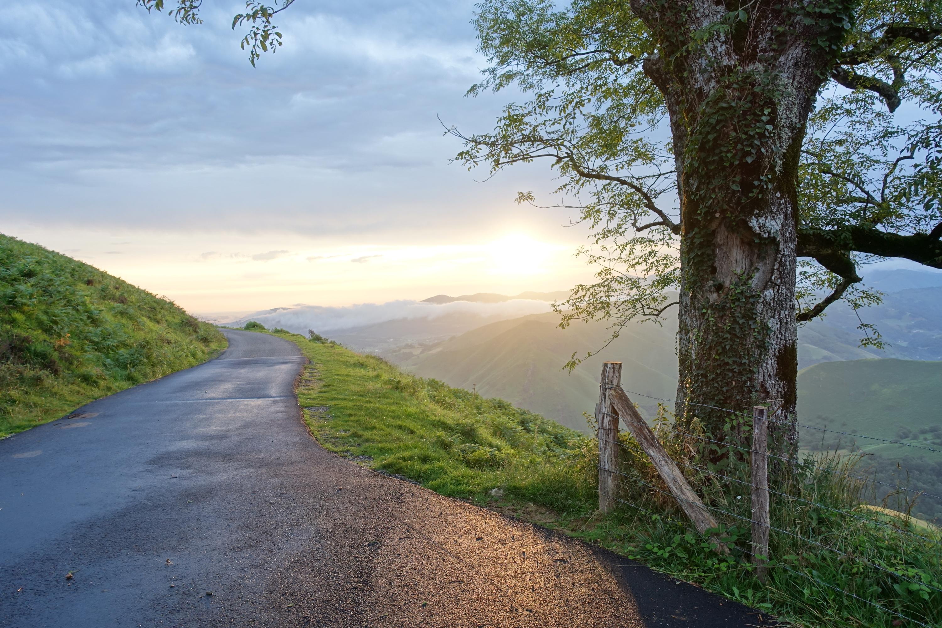 Chemins de Compostelle : de Saint-Jean-Pied-de-Port à Roncevaux, au fil des Pyrénées