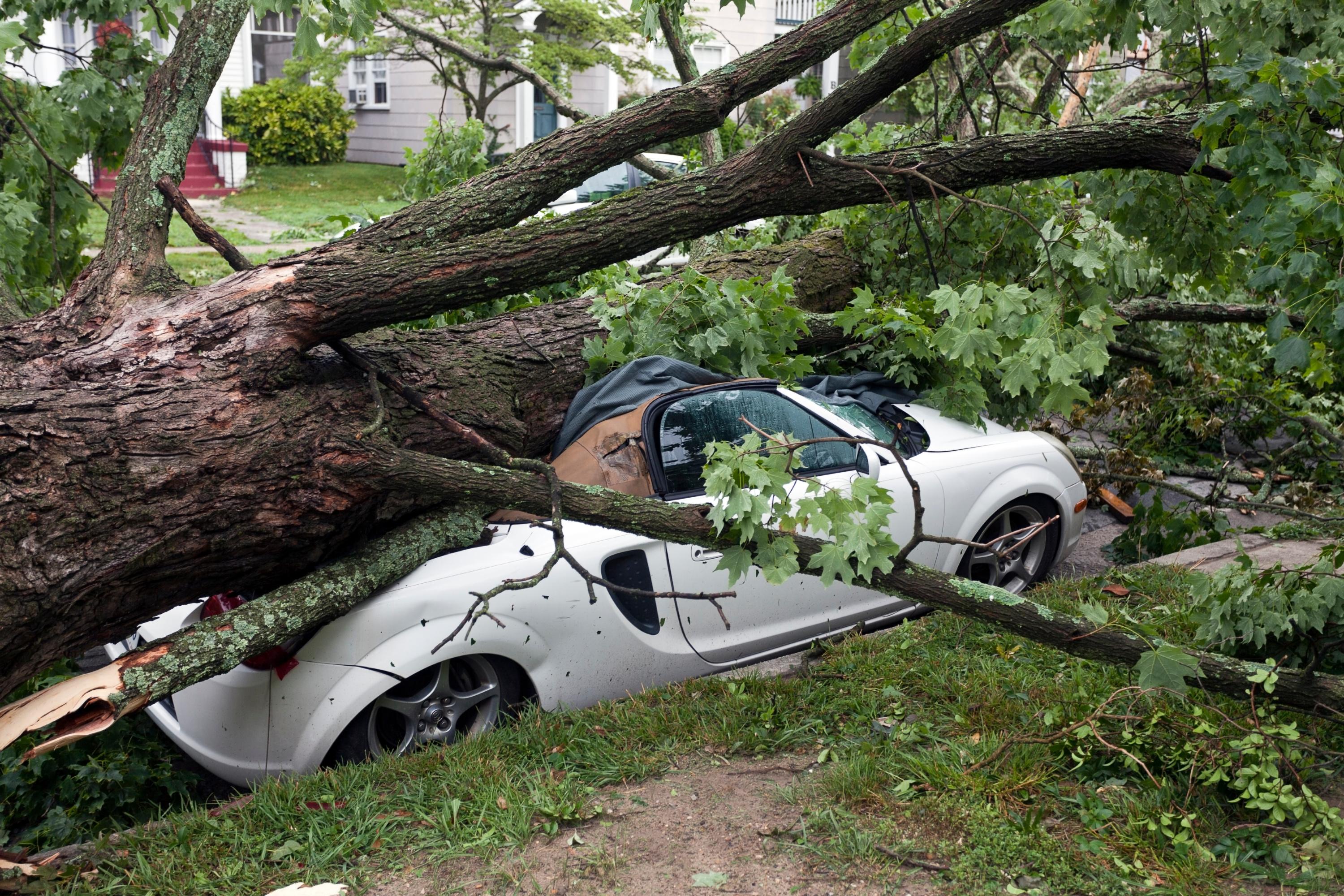 Assurance auto: tiers ou tous risques, comment ne pas payer pour rien