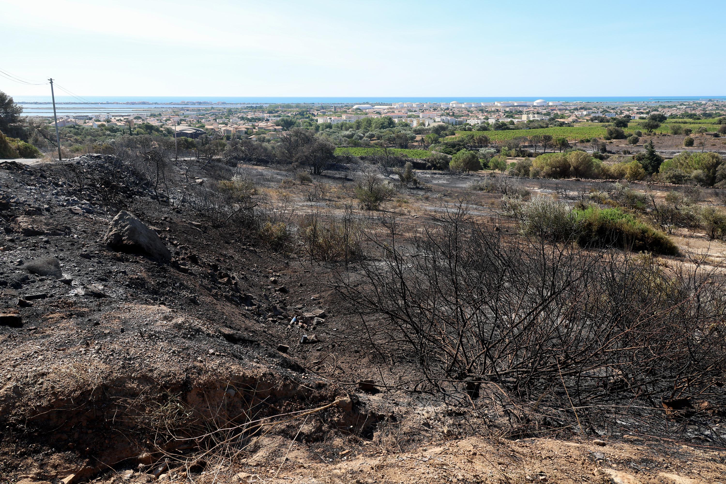 Risques d'incendies : de nombreux massifs vont être interdits d’accès mercredi dans le Sud-Est