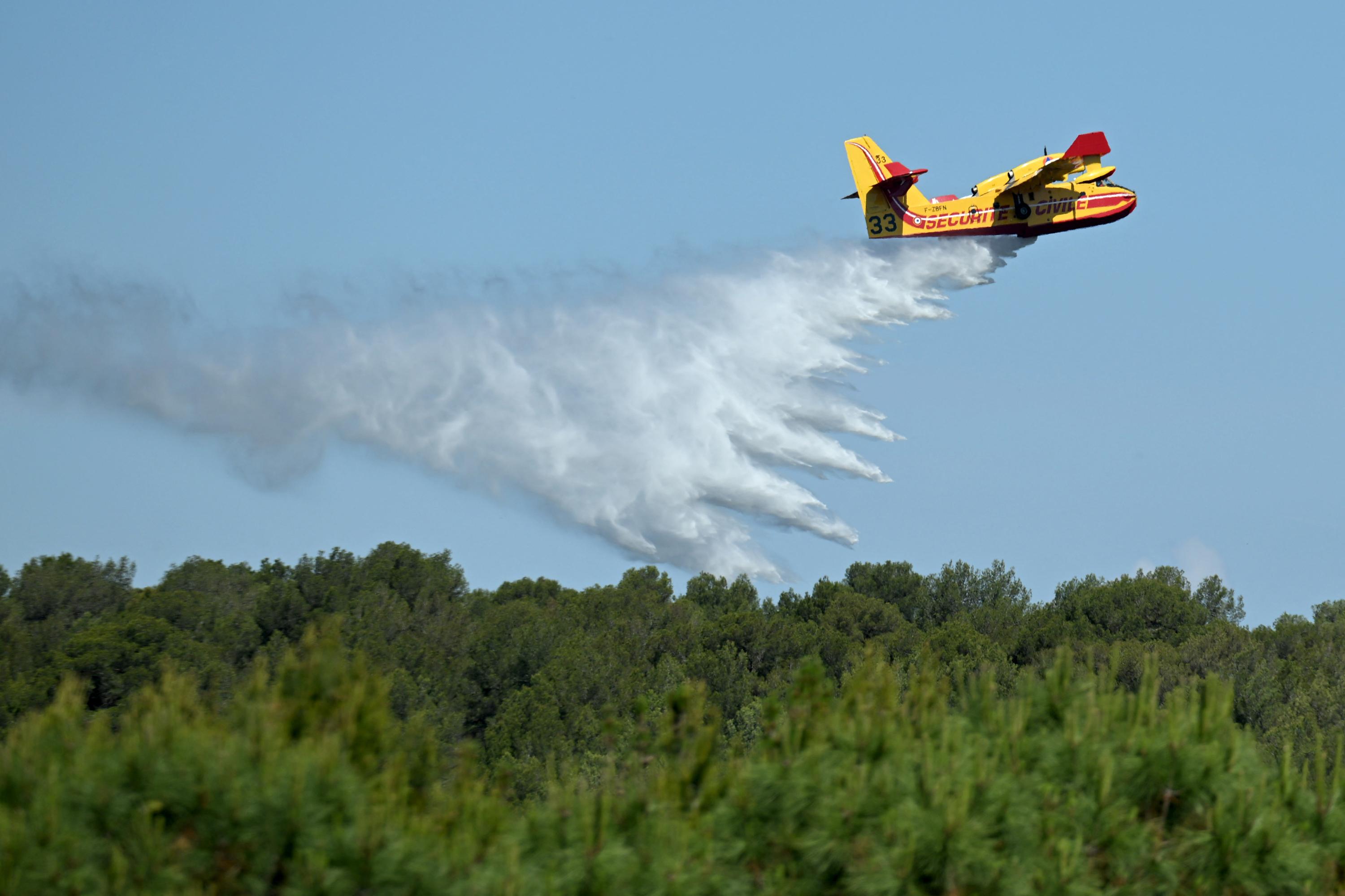 Pyrénées-Orientales : le feu de forêt est fixé, 180 pompiers toujours sur place