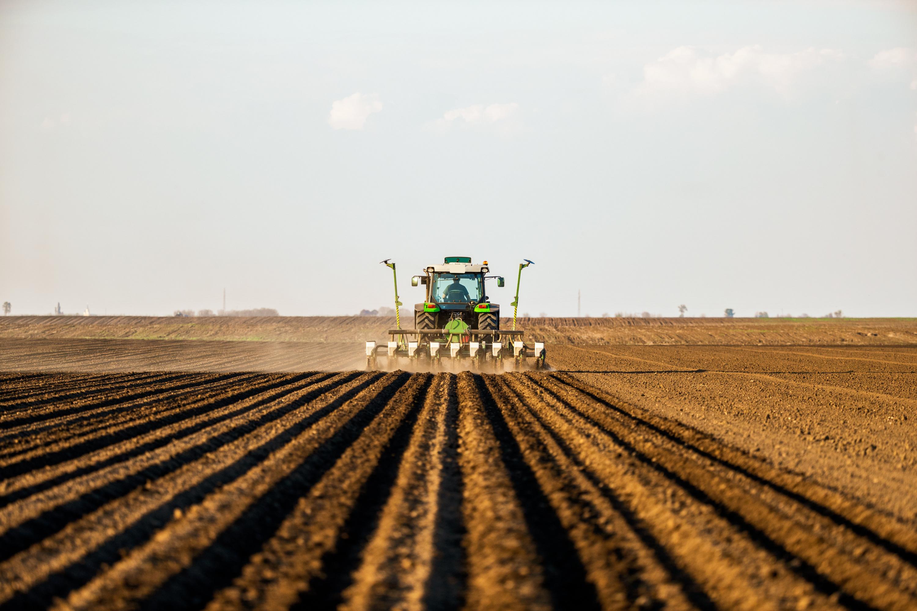 Royaume-Uni : davantage de pesticides autorisés dans des centaines d’aliments depuis le Brexit