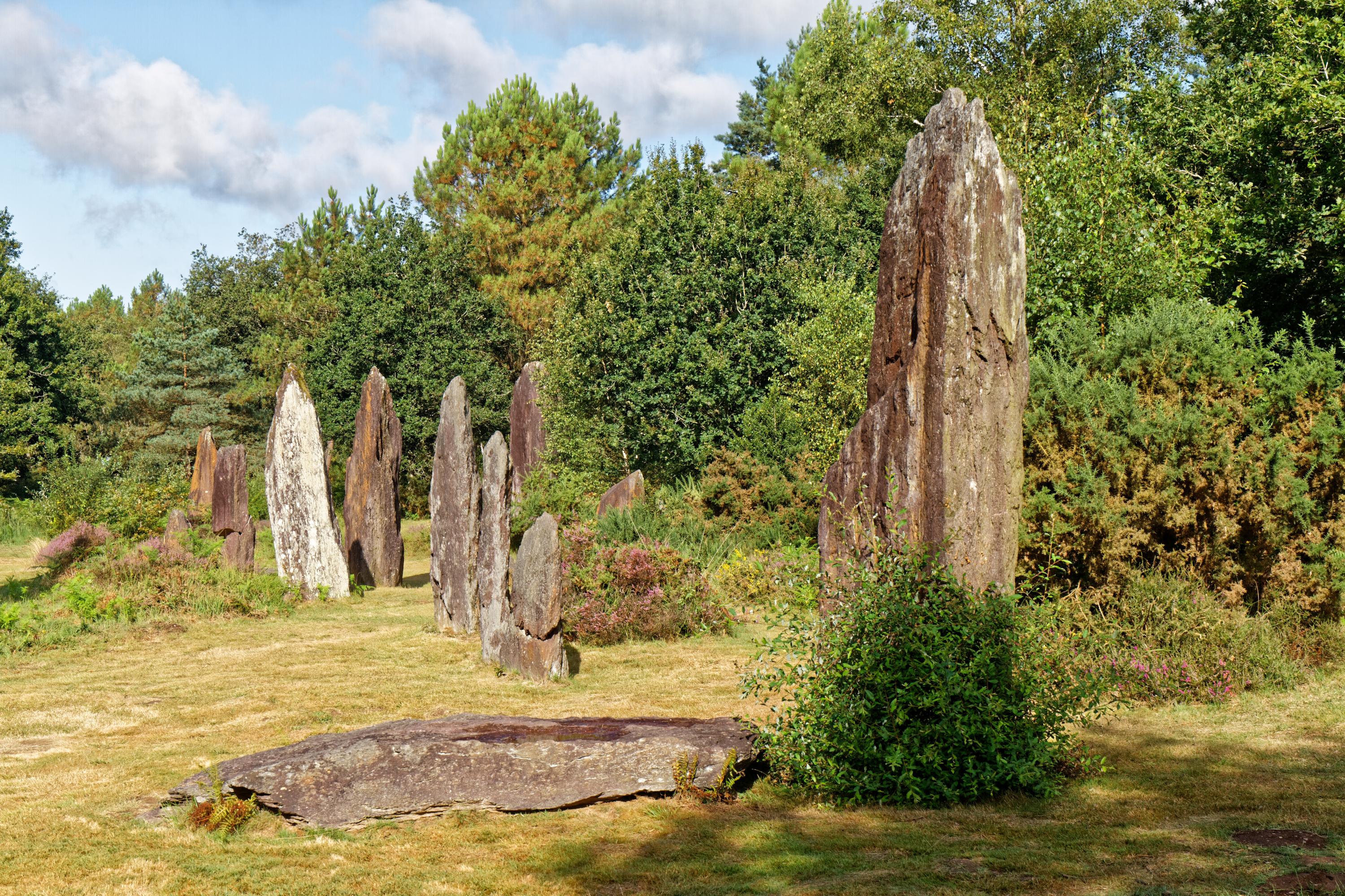 En Bretagne, un projet de parc éolien débouté pour protéger des menhirs