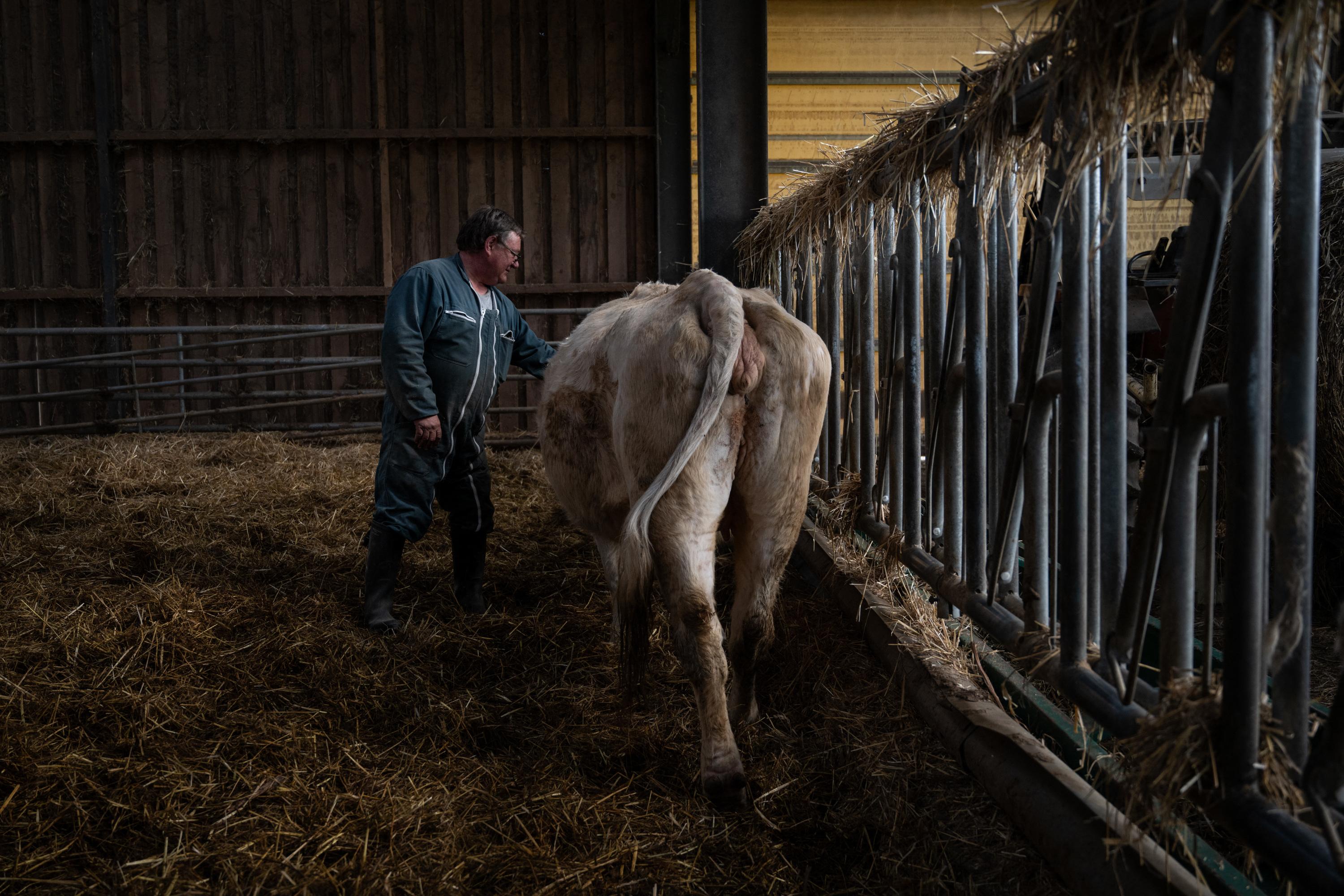 «Nous attendons un coup de pouce du premier ministre» : les agriculteurs impatients de rencontrer Michel Barnier