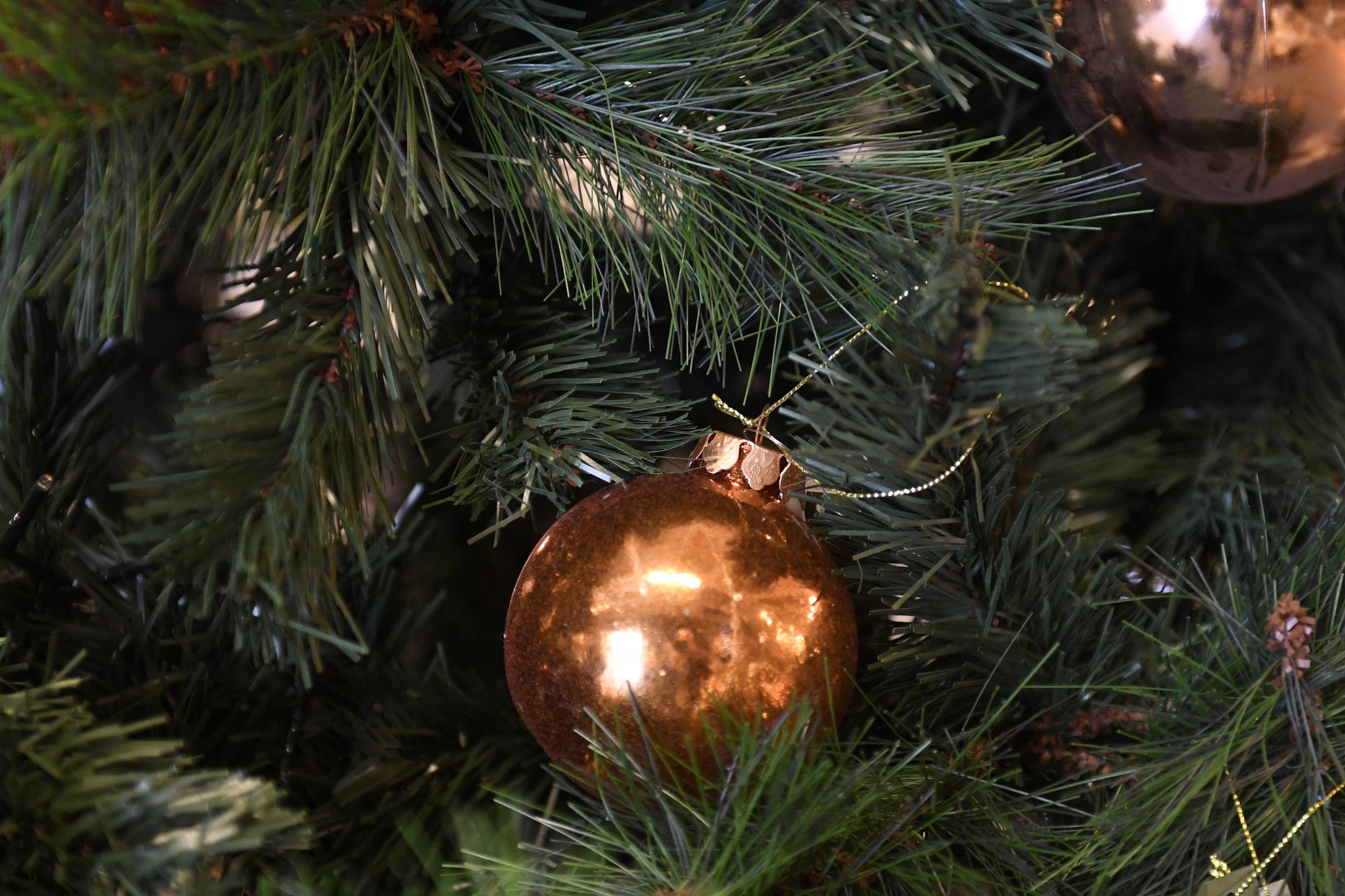 Marseille : pour Noël, la mairie va remplacer des sapins naturels par des synthétiques