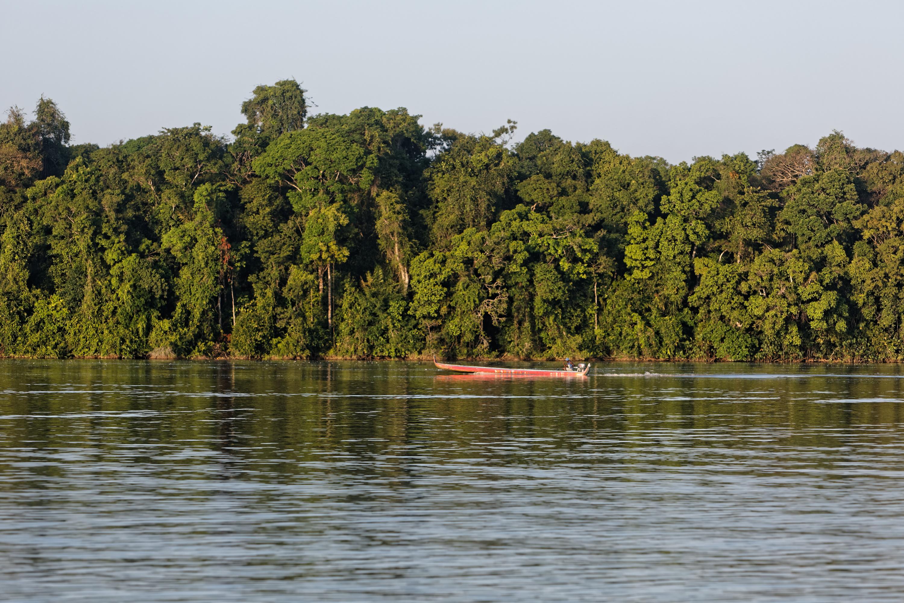 Guyane: l'État met en place un dispositif d'urgence face à la sécheresse des cours d'eau