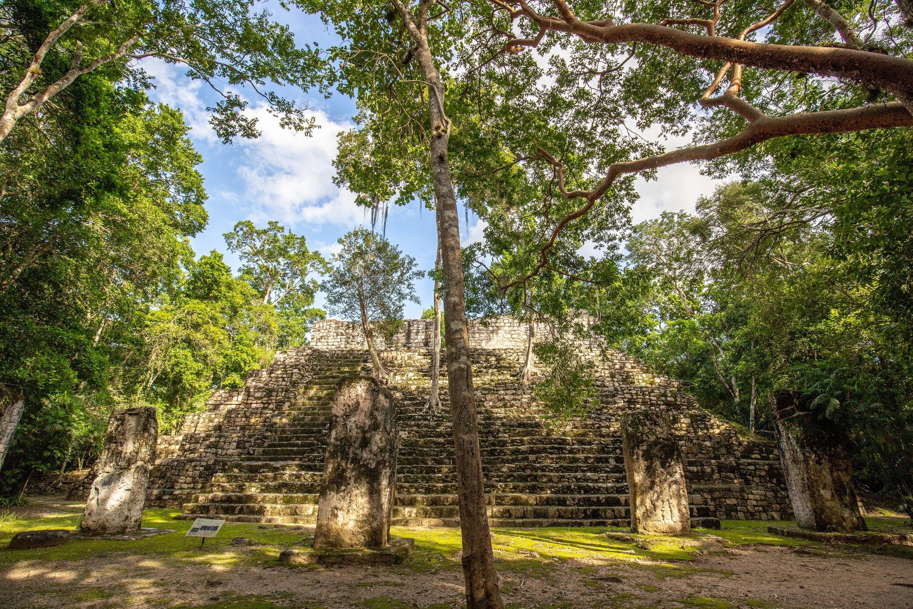 «Cachée à la vue de tous», l’incroyable découverte d’une cité maya sur Google