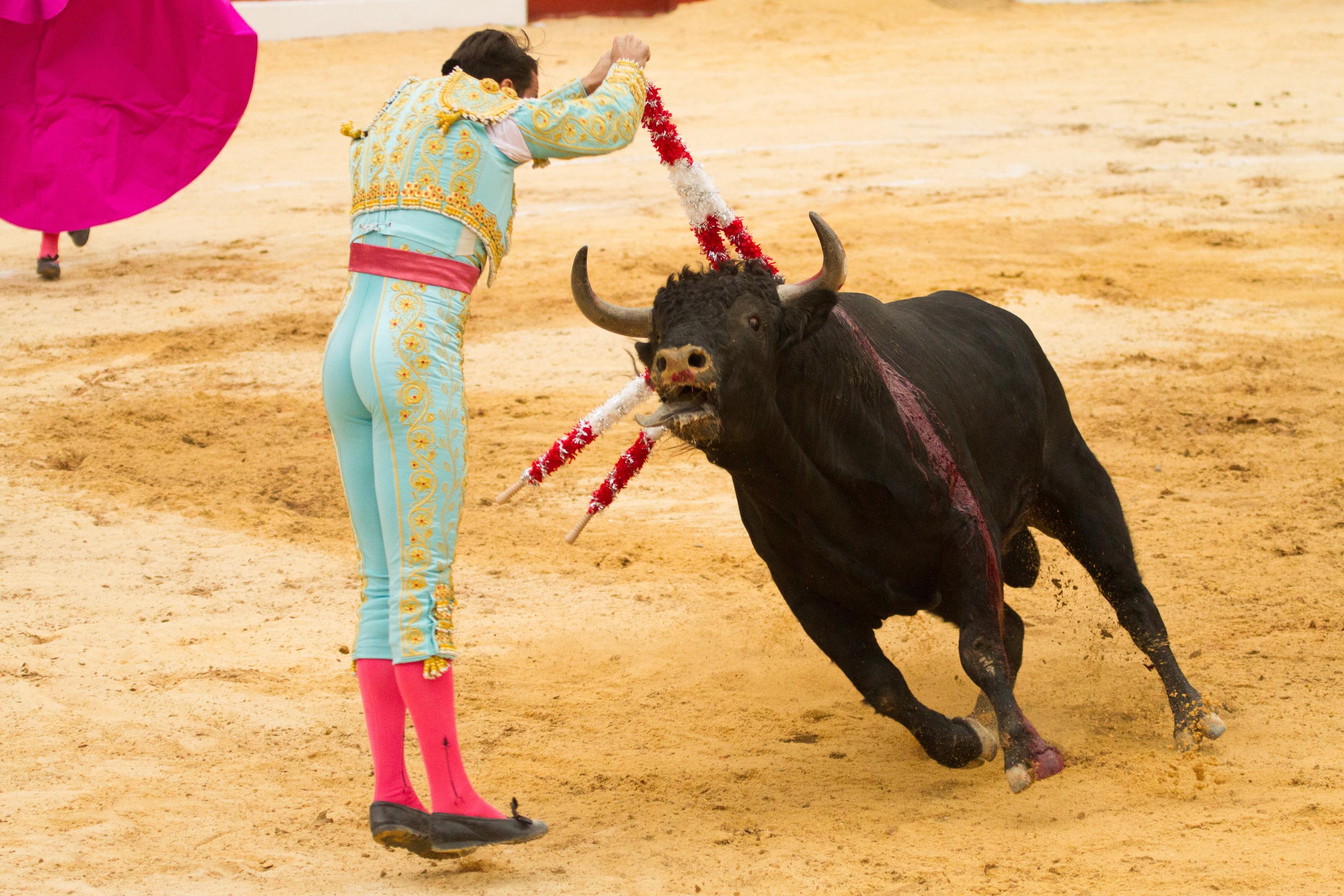 Les Sénateurs s'opposent à l'interdiction de la corrida pour les mineurs