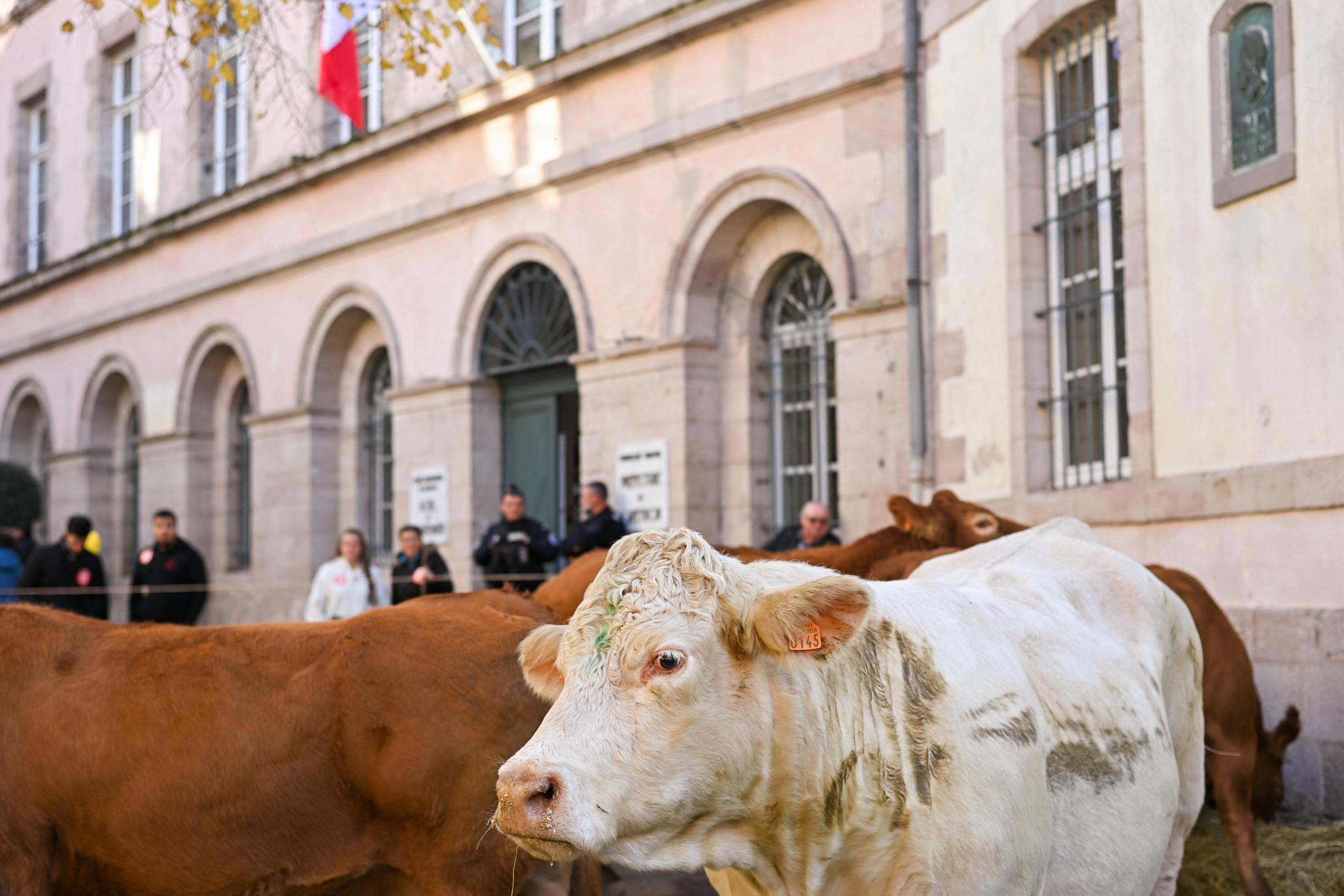 Plus d'une centaine d'agriculteurs érigent un mur devant l'institut Inrae à Paris