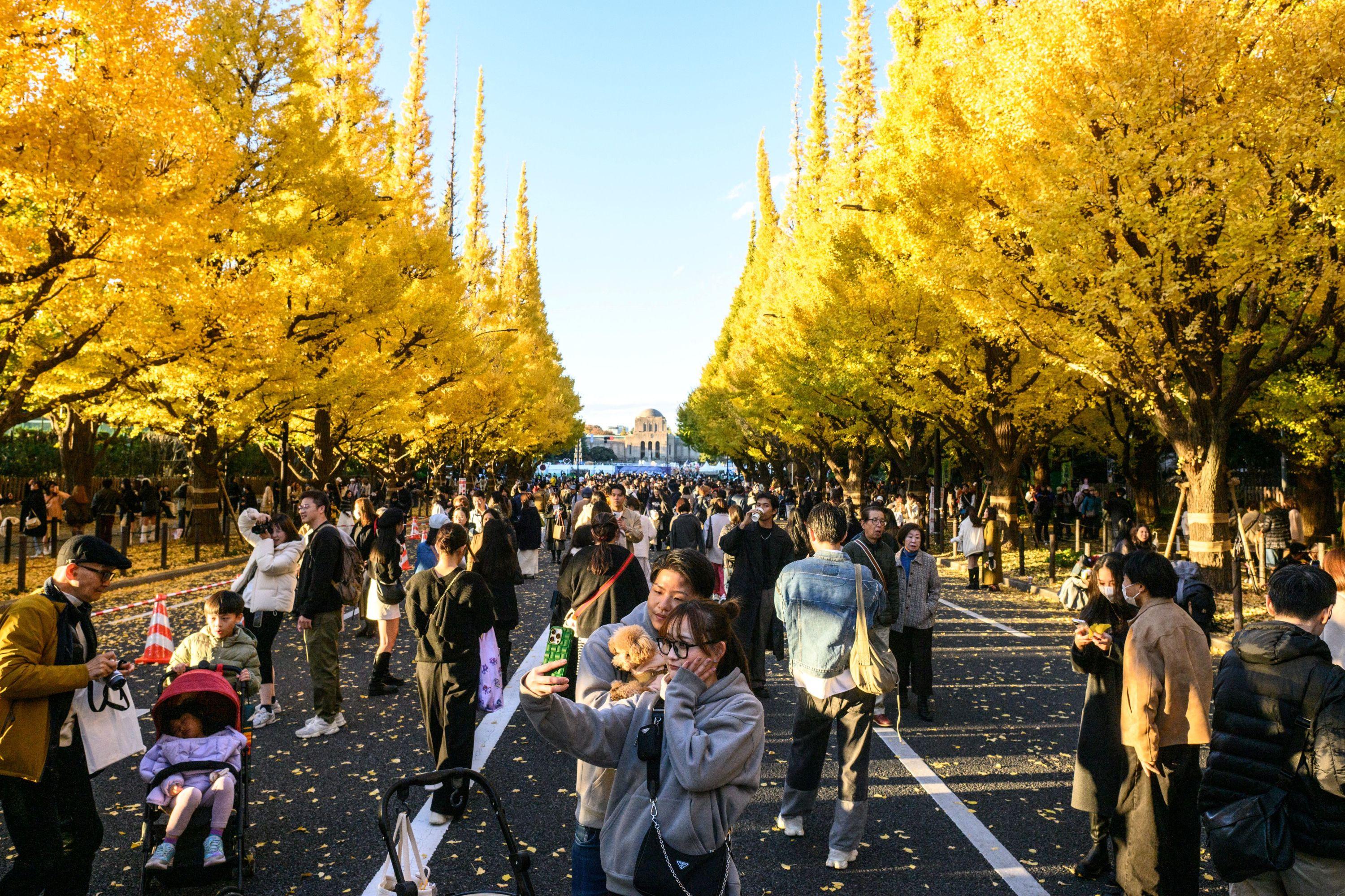 Tokyo: la ville va rendre les crèches gratuites pour encourager la natalité