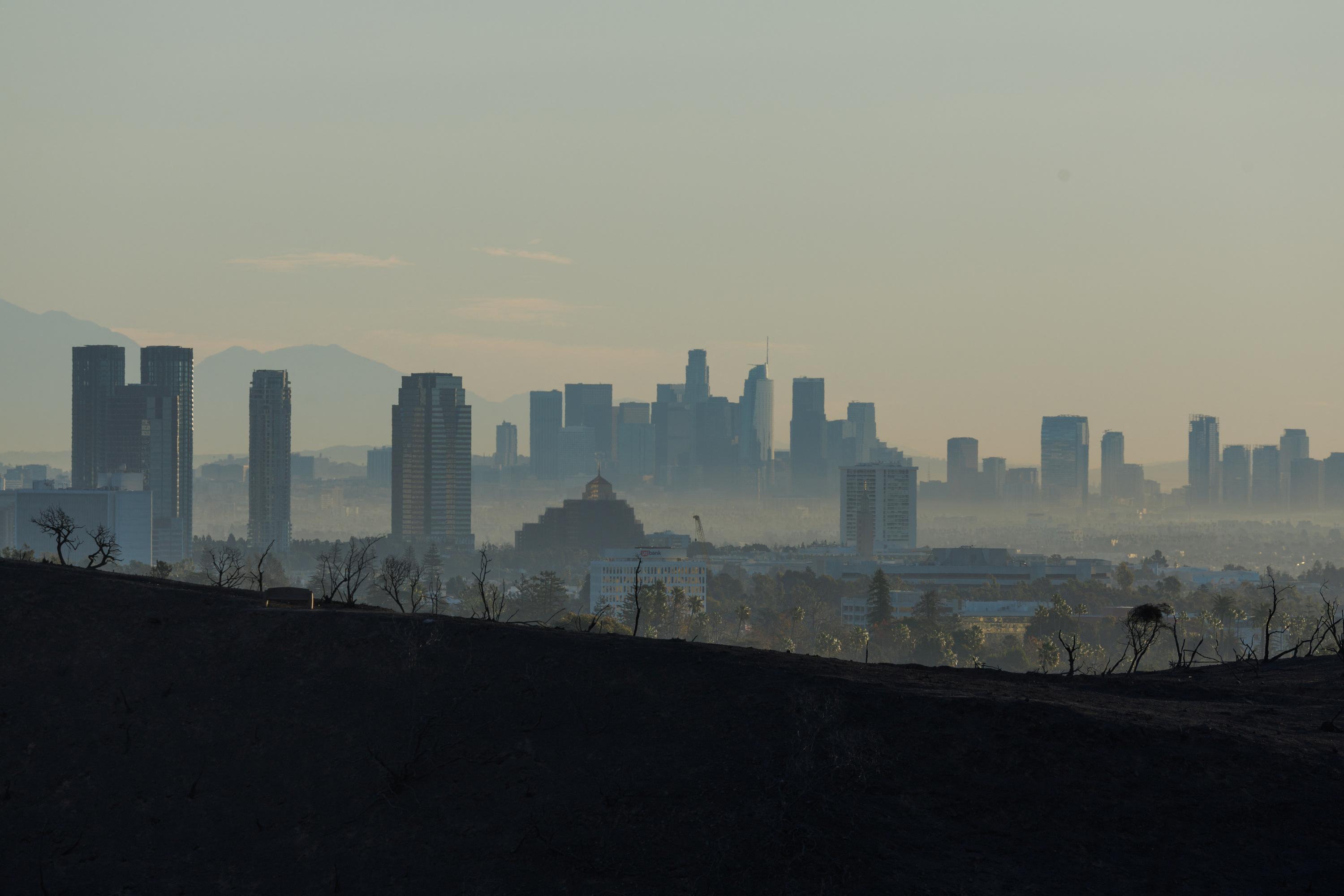 Incendies à Los Angeles : 939 détenus californiens libérés pour devenir pompiers et lutter contre le feu