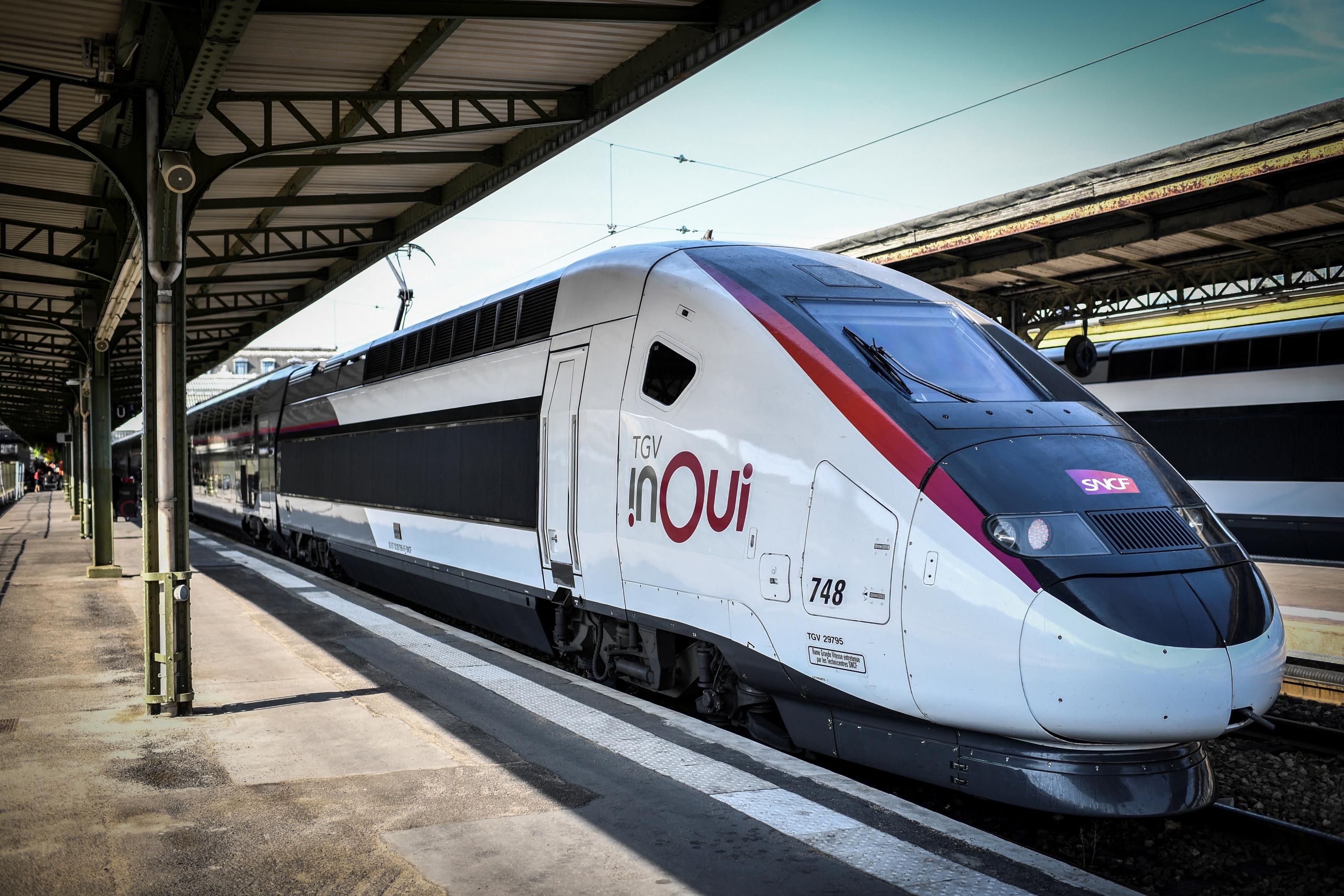 Le transport des contrebasses officiellement autorisé dans les TGV