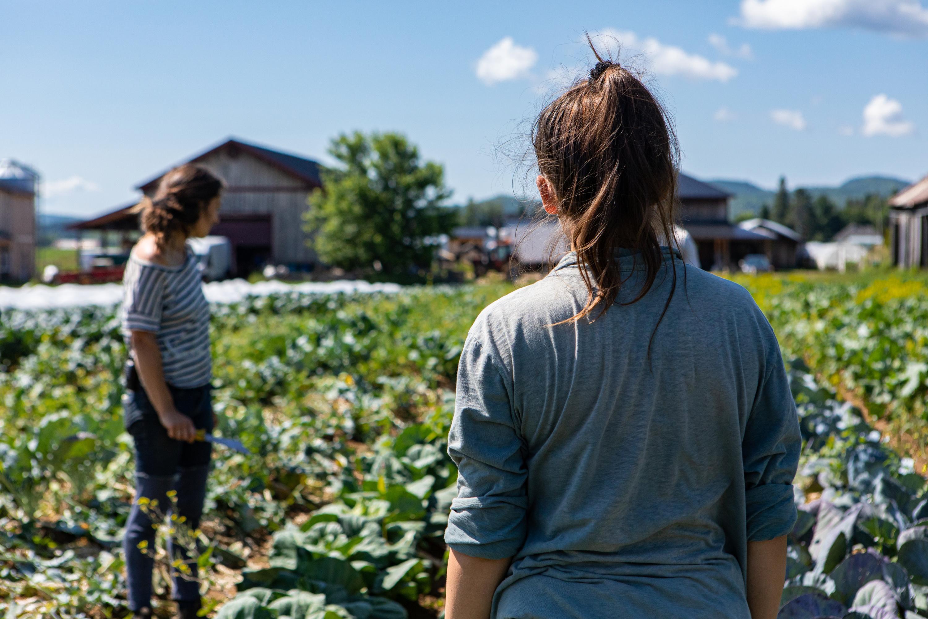 Agriculture biologique : une partie des fonds réorientée, la FNAB dénonce un «hold-up» sur leurs aides