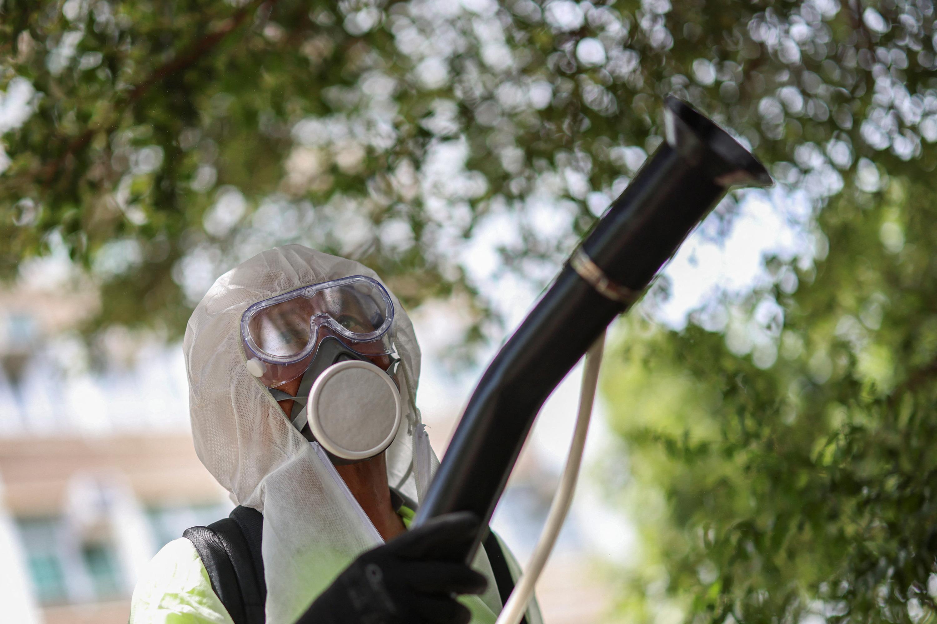 Chikungunya près de Marseille : avec 23 cas autochtones, un «début d’épidémie» surveillé avec attention
